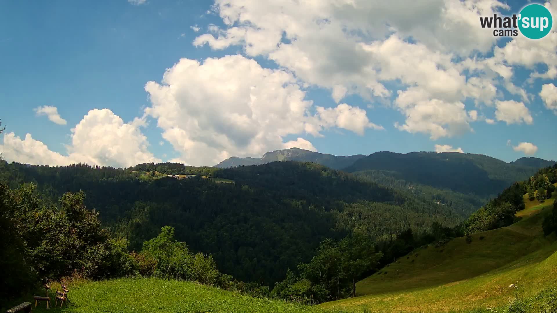 Webcam Brunarica Dražgoše – Live View of Ratitovec (1666 m)