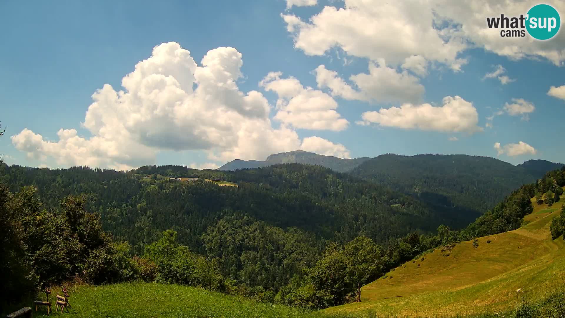 Web kamera Brunarica Dražgoše – Pogled uživo na Ratitovec (1666 m)