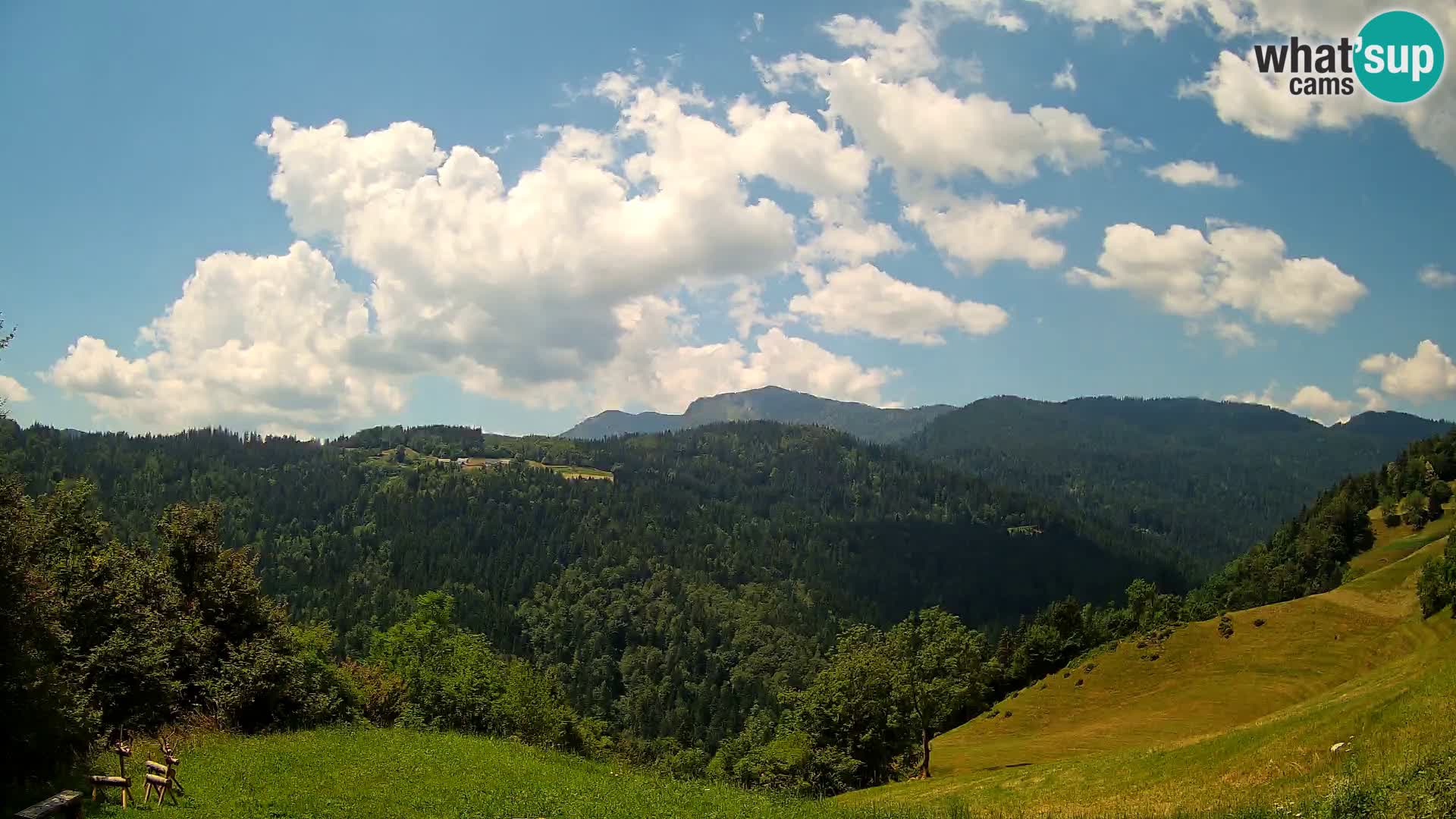 Webcam Brunarica Dražgoše – Live View of Ratitovec (1666 m)