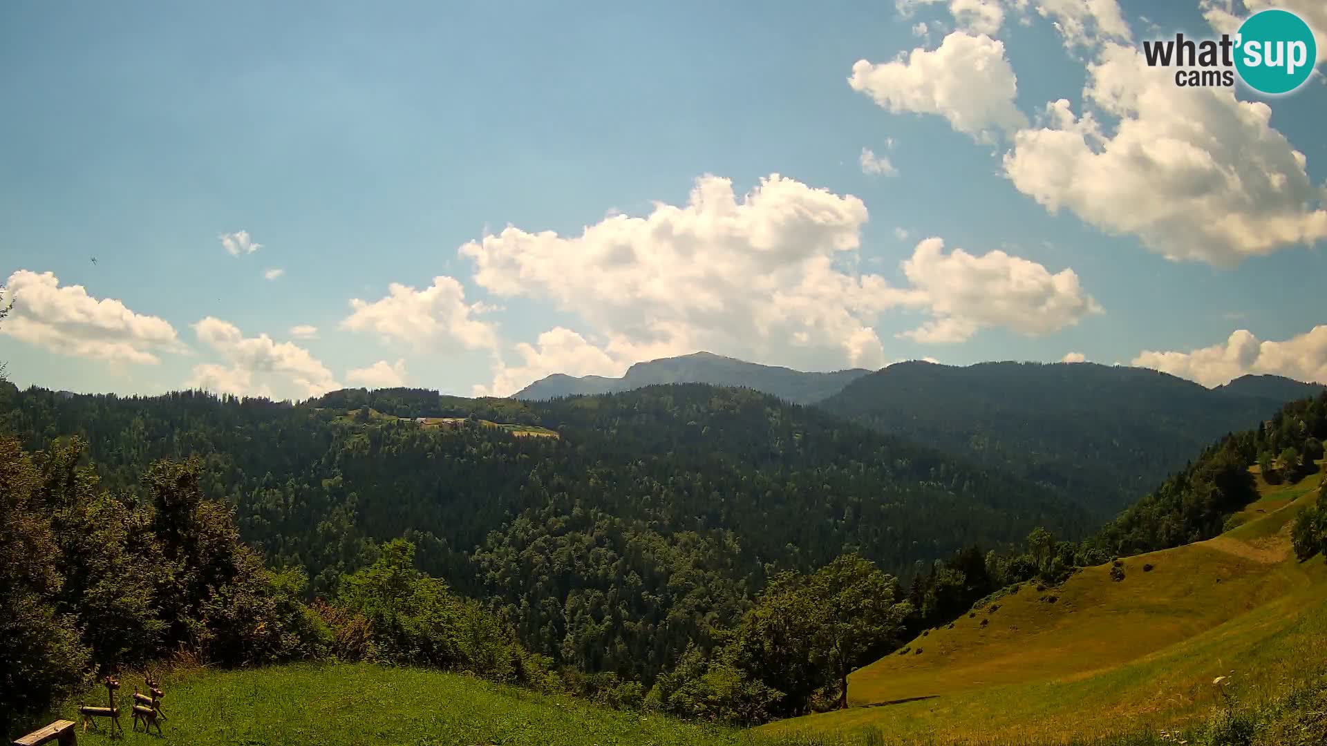 Web kamera Brunarica Dražgoše – Pogled uživo na Ratitovec (1666 m)
