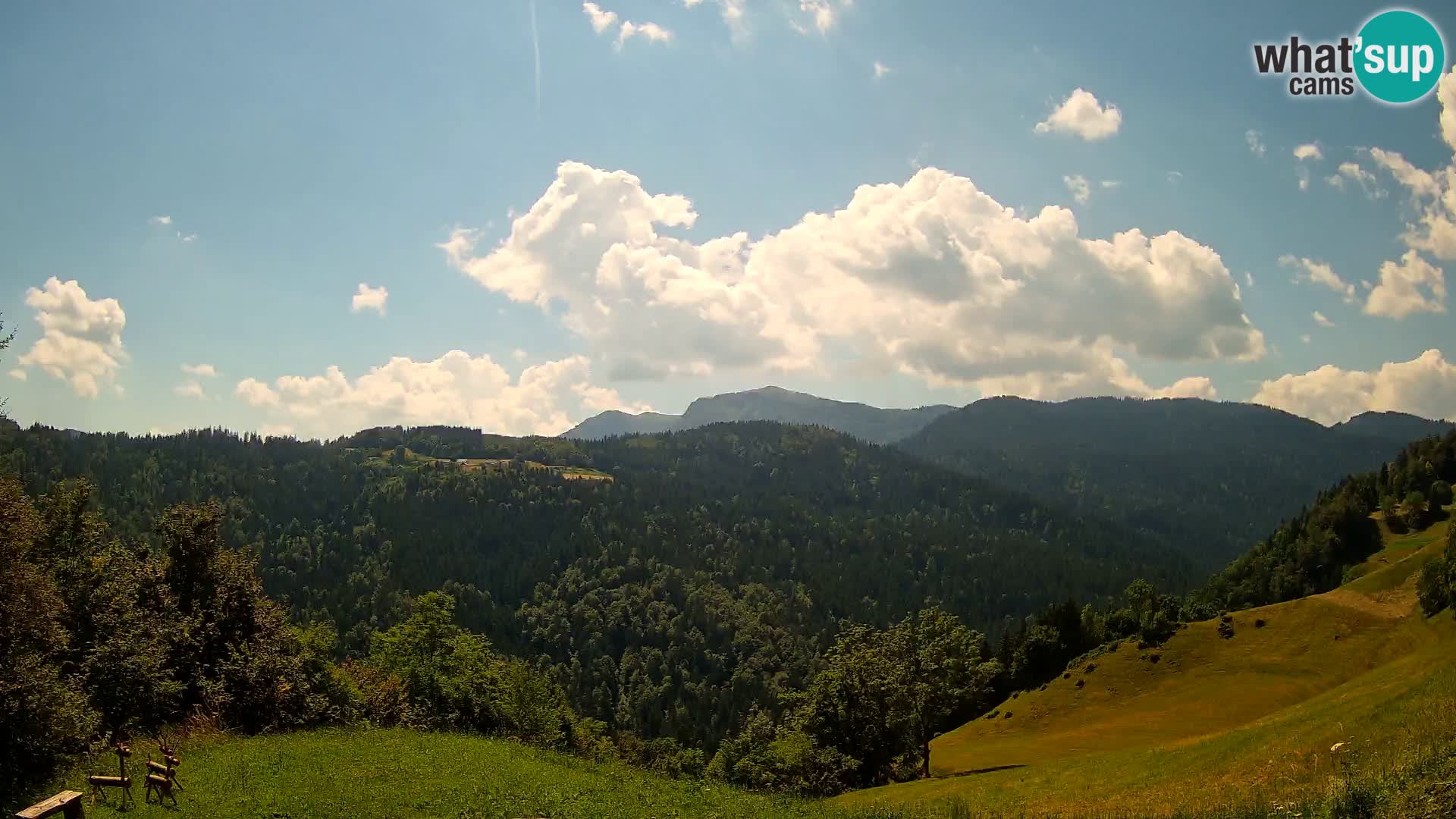 Webcam Brunarica Dražgoše – Live View of Ratitovec (1666 m)