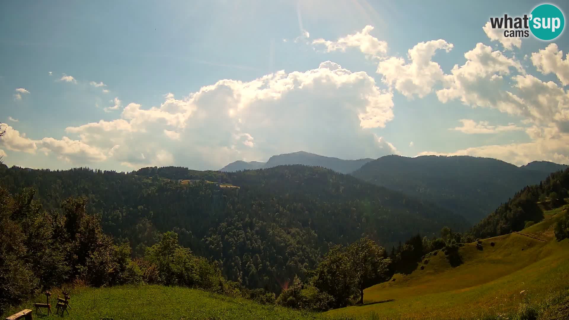 Webcam Brunarica Dražgoše – Live View of Ratitovec (1666 m)
