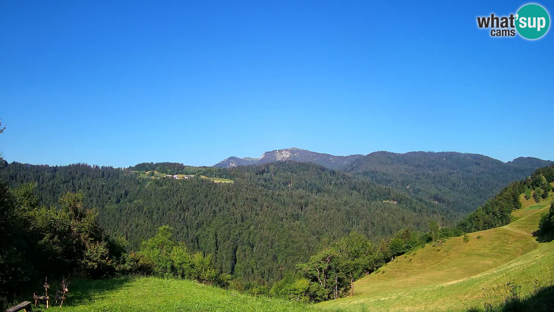 Webcam Brunarica Dražgoše – Live View of Ratitovec (1666 m)