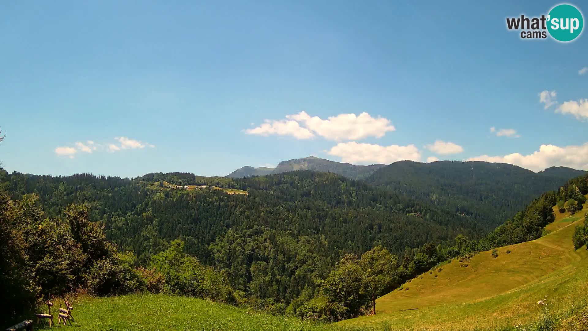 Webcam Brunarica Dražgoše – Live View of Ratitovec (1666 m)