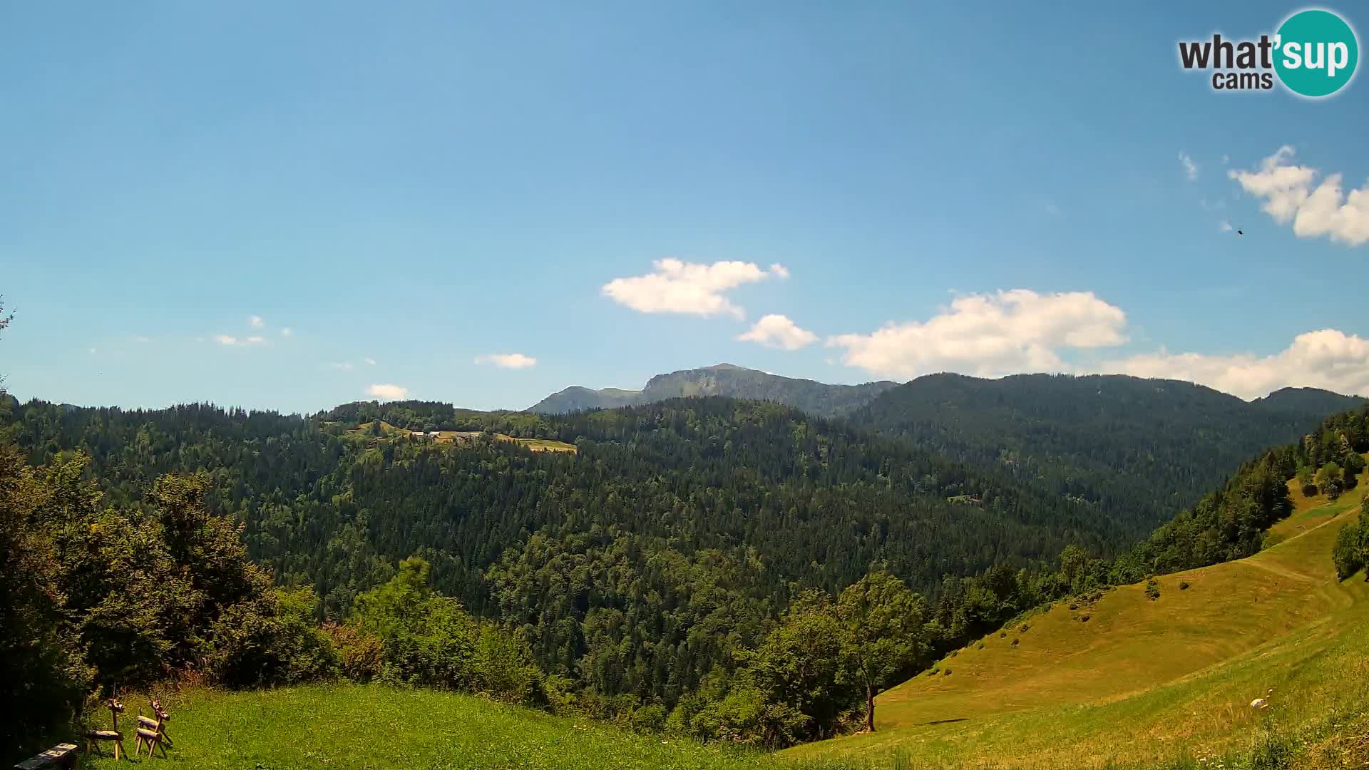 Webcam Brunarica Dražgoše – Live View of Ratitovec (1666 m)