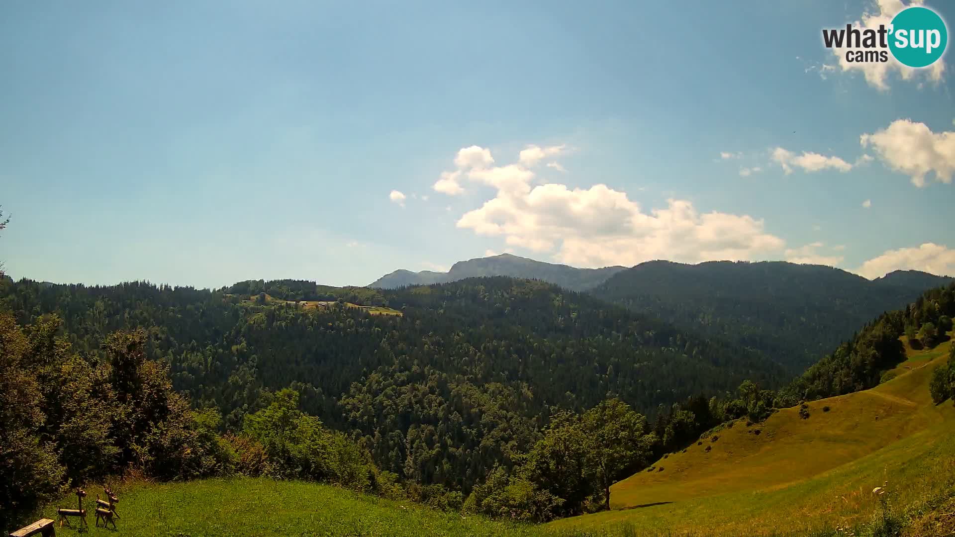 Webcam Brunarica Dražgoše – Live View of Ratitovec (1666 m)