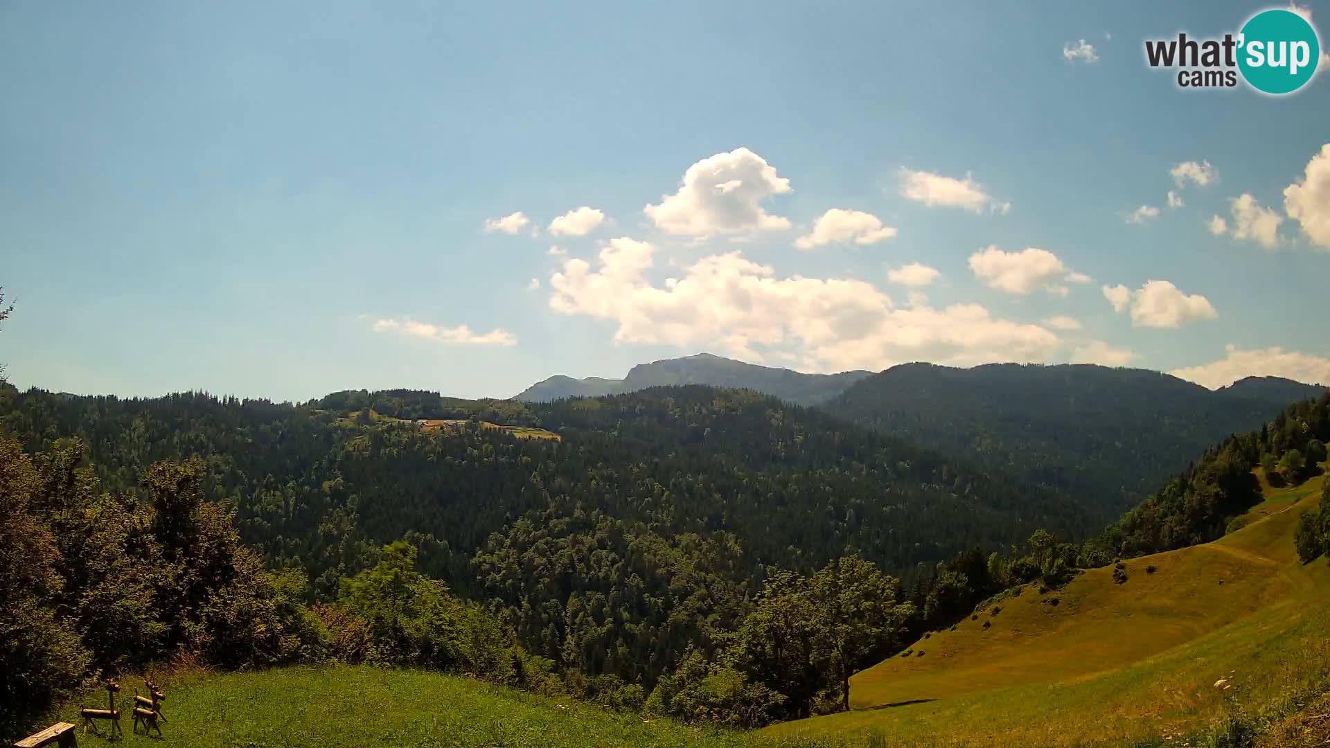 Webcam Brunarica Dražgoše – Live View of Ratitovec (1666 m)