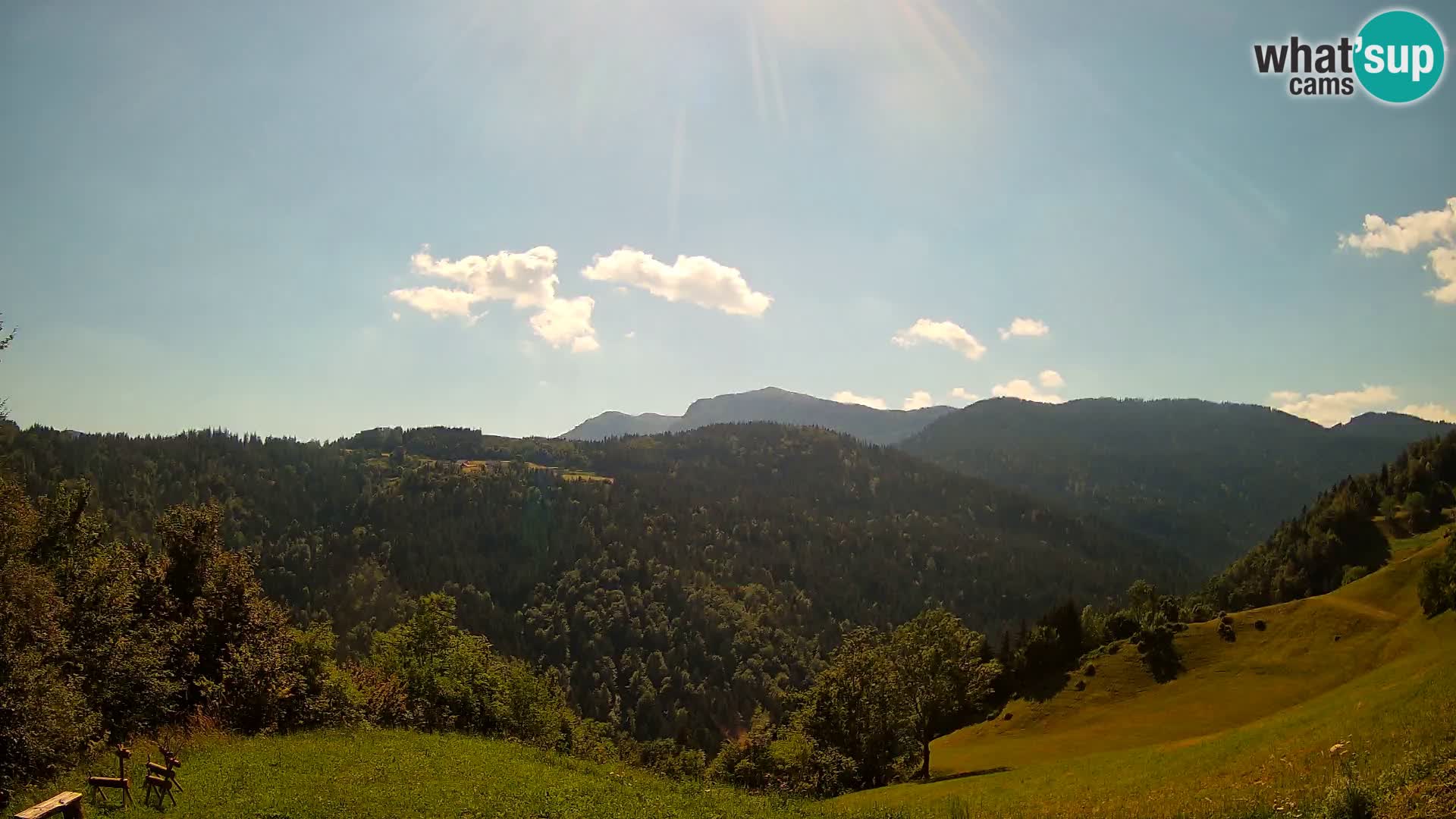 Webcam Brunarica Dražgoše – Live View of Ratitovec (1666 m)