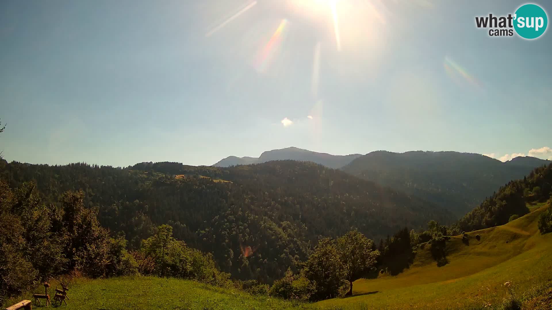 Webcam Brunarica Dražgoše – Live View of Ratitovec (1666 m)