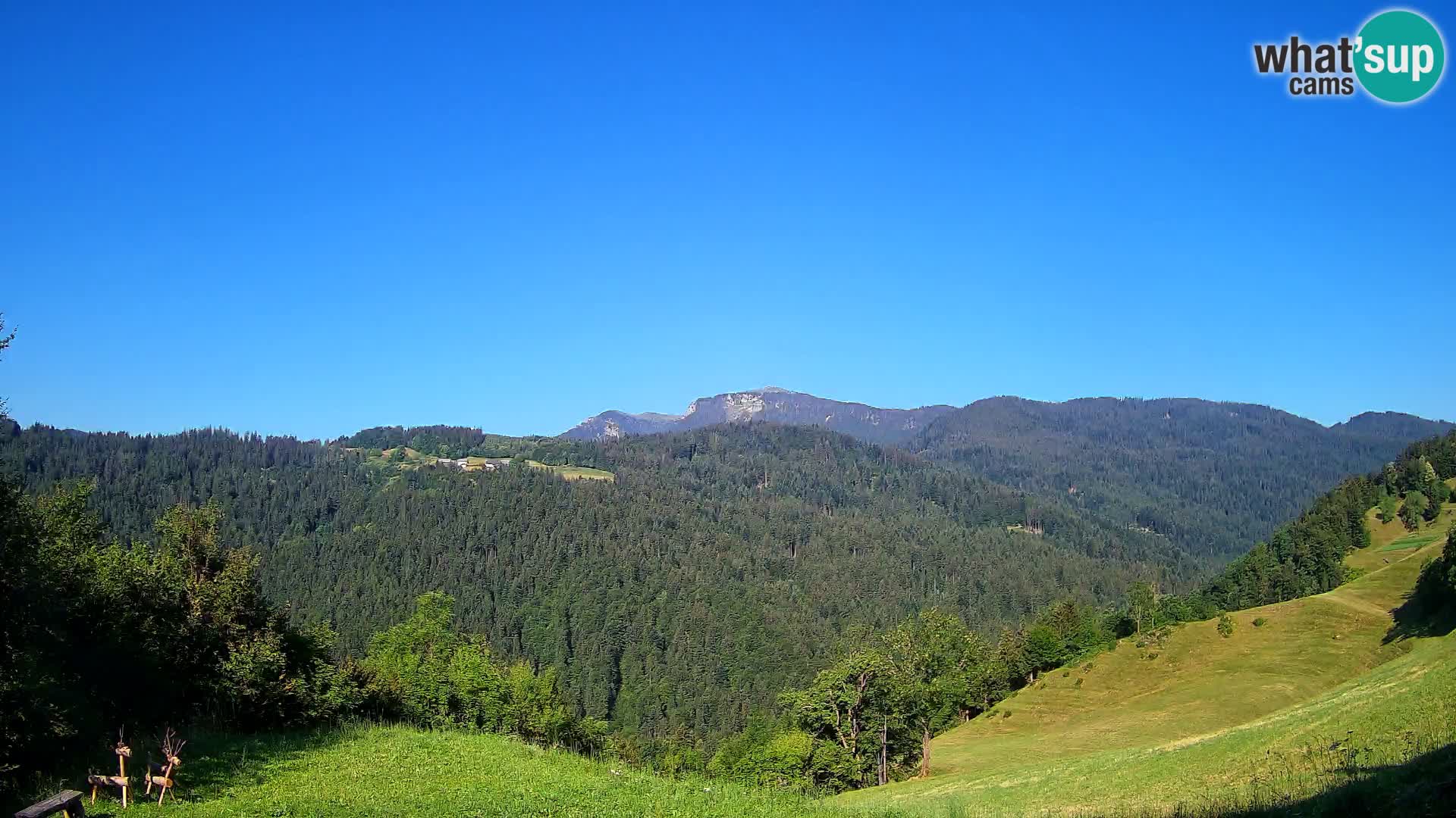 Webcam Brunarica Dražgoše – Live View of Ratitovec (1666 m)