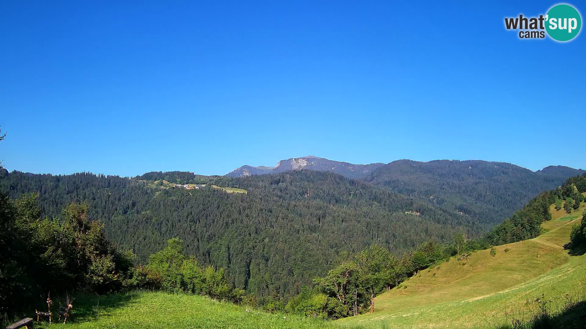 Webcam Brunarica Dražgoše – Vista live sul Ratitovec (1666 m)