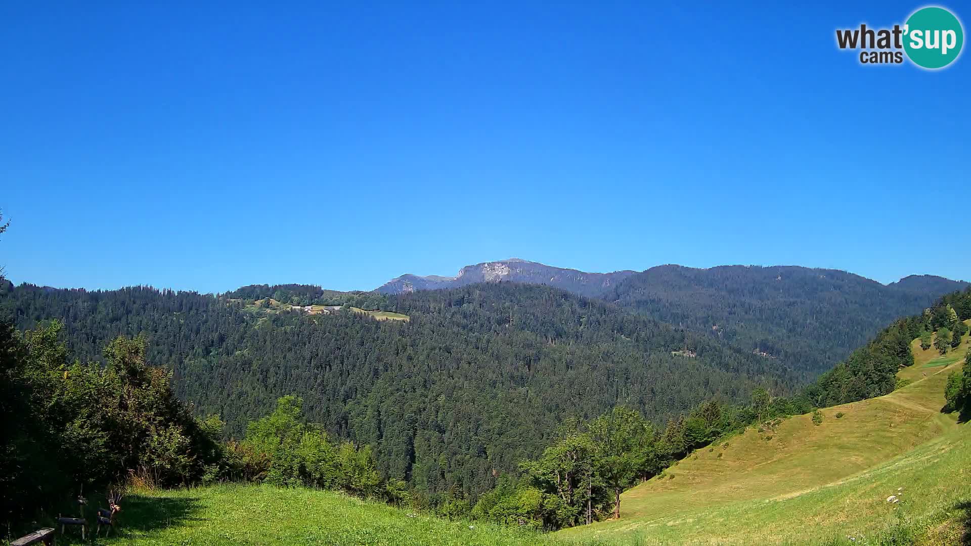 Webcam Brunarica Dražgoše – Live View of Ratitovec (1666 m)