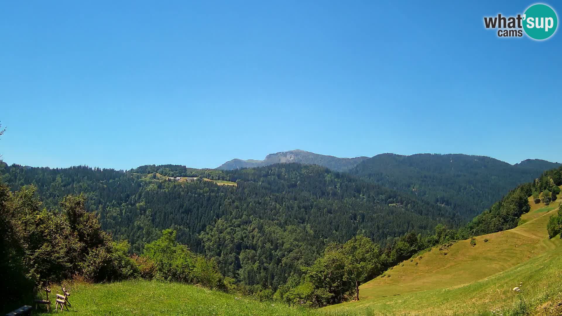 Webcam Brunarica Dražgoše – Live View of Ratitovec (1666 m)