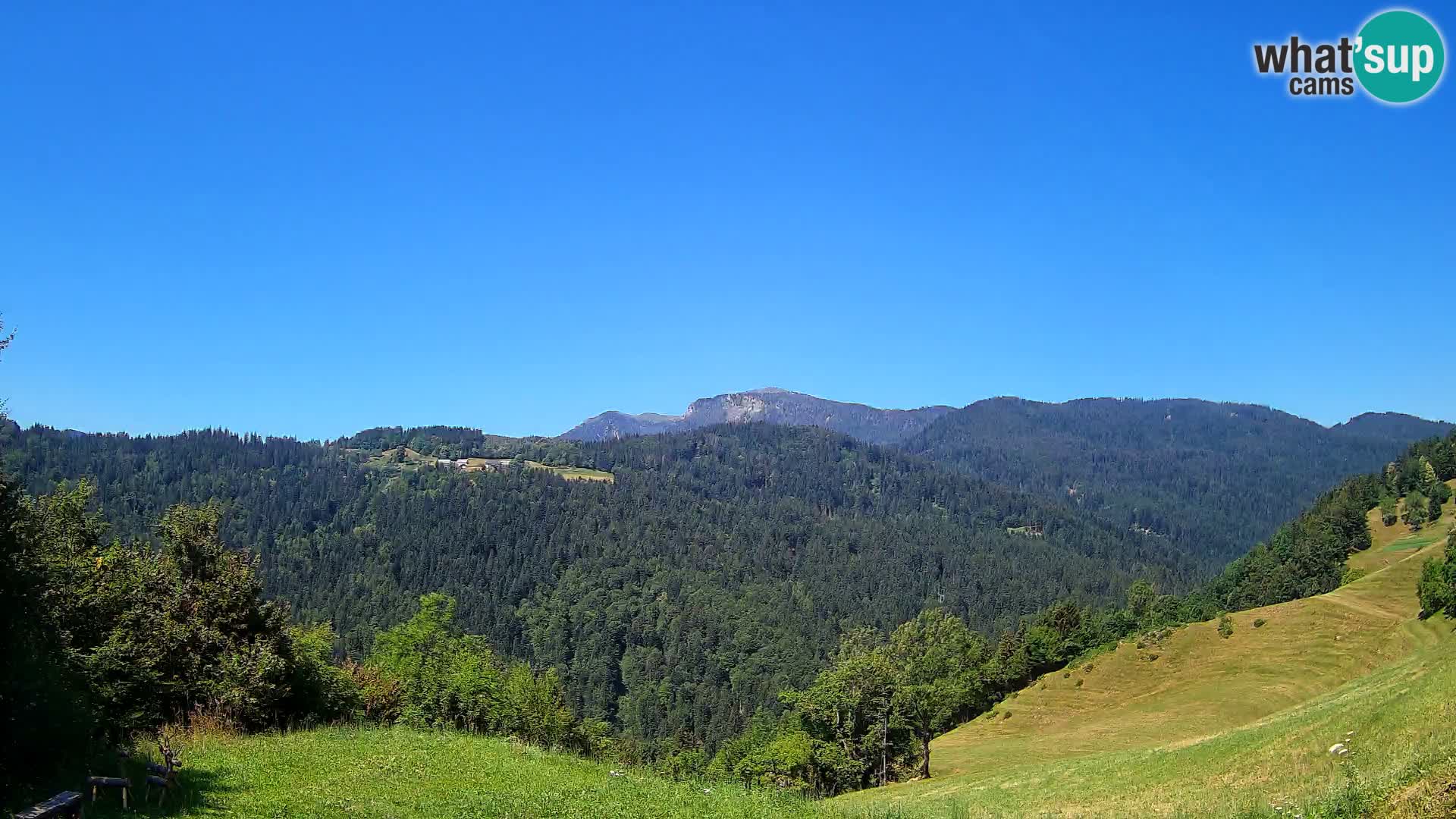Webcam Brunarica Dražgoše – Live View of Ratitovec (1666 m)