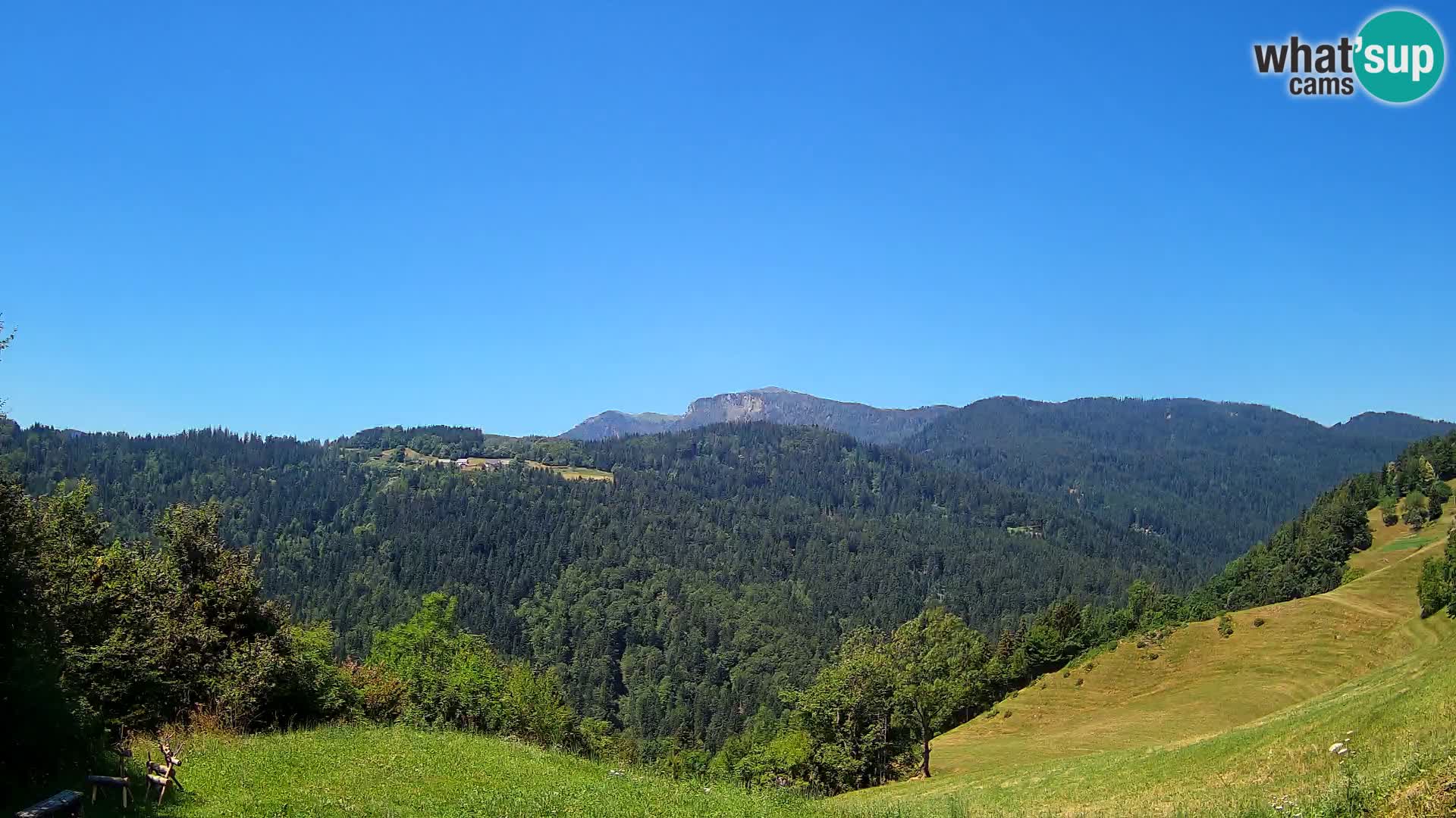 Webcam Brunarica Dražgoše – Live View of Ratitovec (1666 m)
