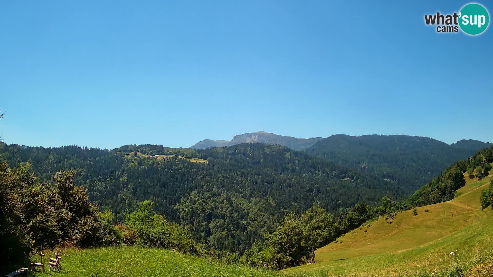 Webcam Brunarica Dražgoše – Live View of Ratitovec (1666 m)