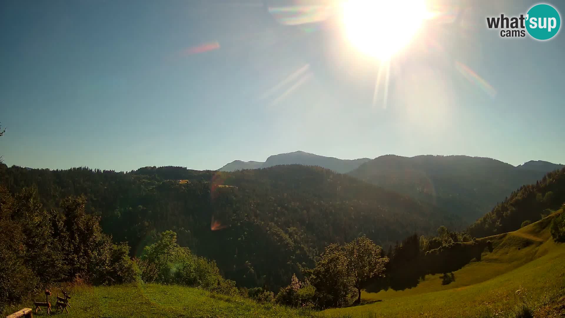 Webcam Brunarica Dražgoše – Live View of Ratitovec (1666 m)