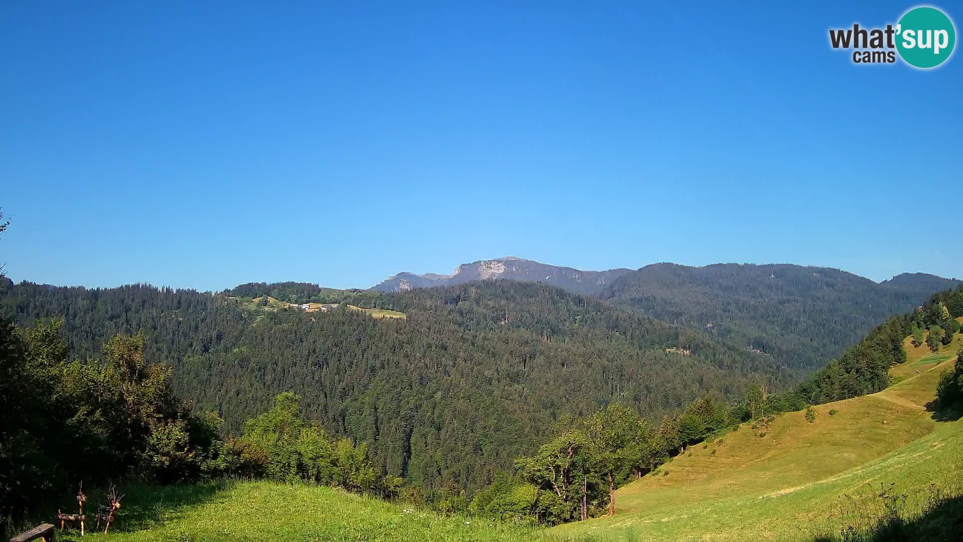 Webcam Brunarica Dražgoše – Liveblick auf Ratitovec (1666 m)