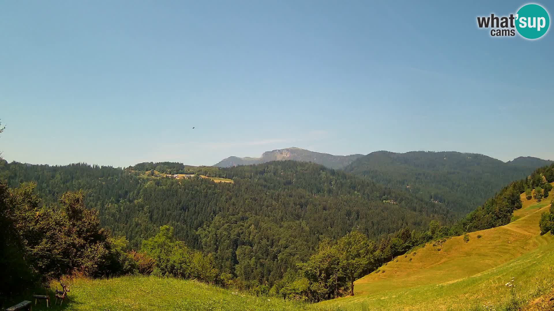 Webcam Brunarica Dražgoše – Live View of Ratitovec (1666 m)