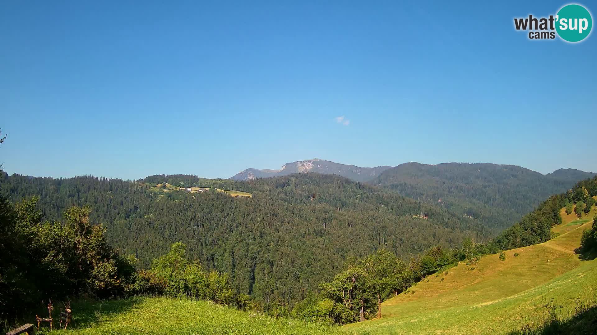 Webcam Brunarica Dražgoše – Live View of Ratitovec (1666 m)