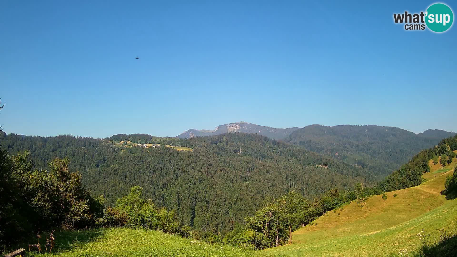 Webcam Brunarica Dražgoše – Vista live sul Ratitovec (1666 m)
