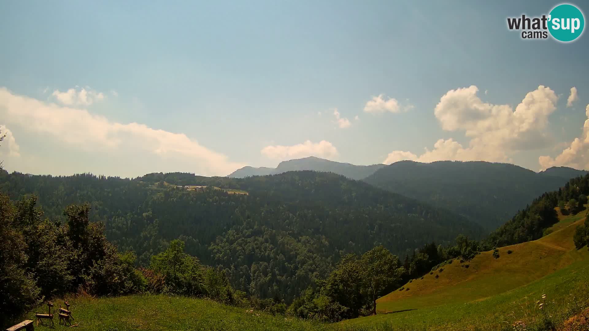 Webcam Brunarica Dražgoše – Live View of Ratitovec (1666 m)
