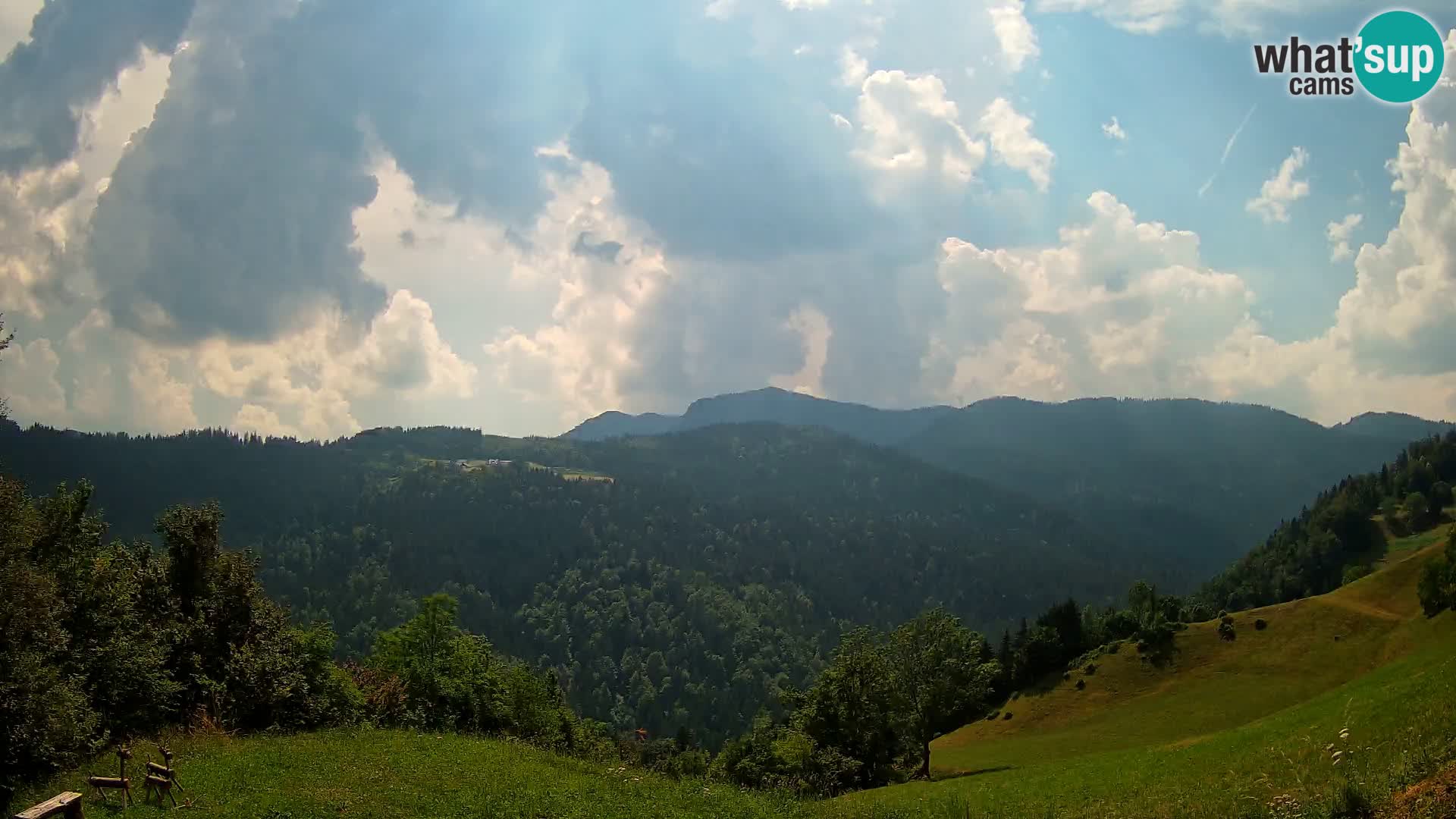 Webcam Brunarica Dražgoše – Live View of Ratitovec (1666 m)