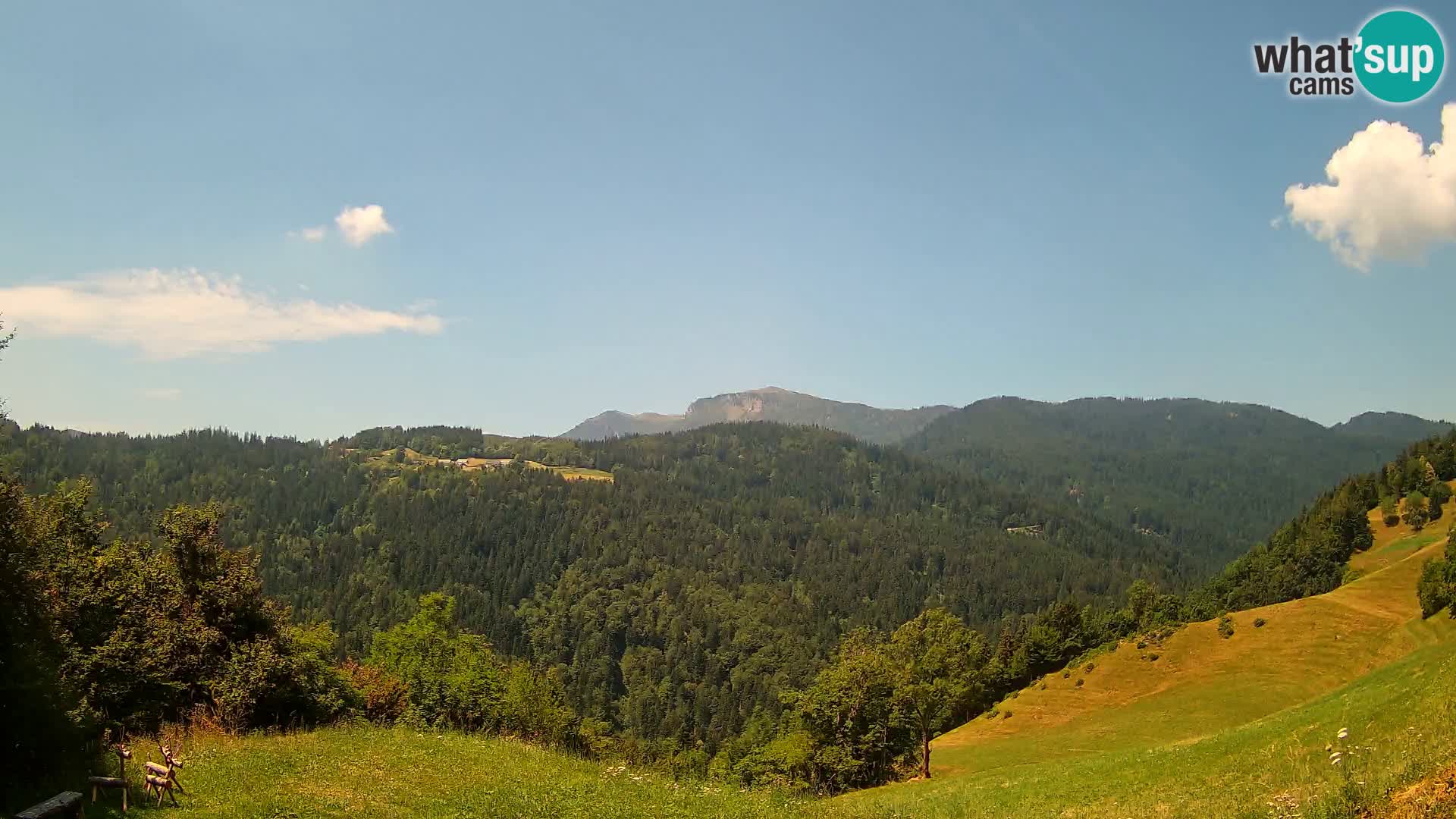 Spletna kamera Brunarica Dražgoše – Pogled v živo na Ratitovec (1666 m)