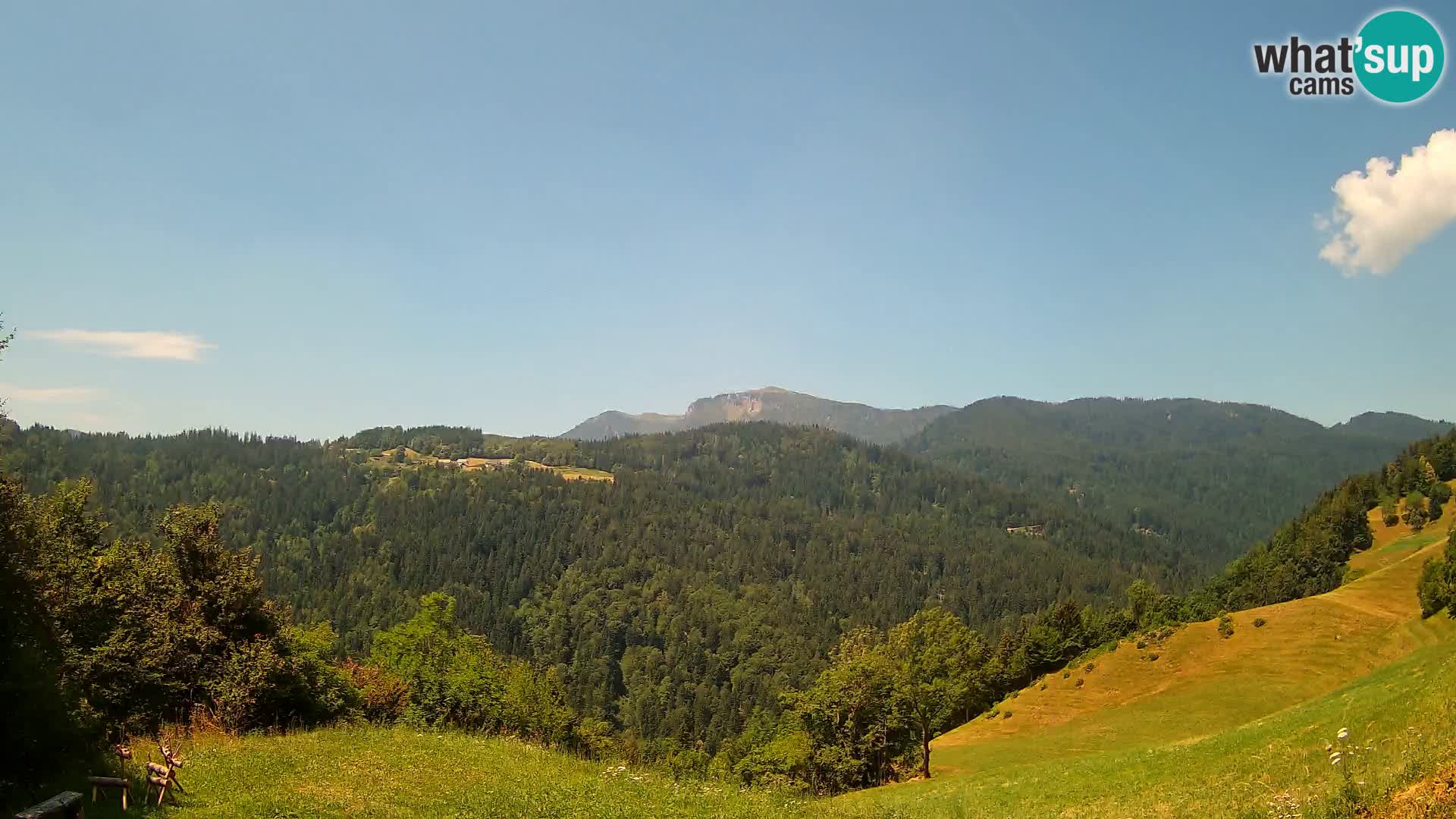 Webcam Brunarica Dražgoše – Live View of Ratitovec (1666 m)