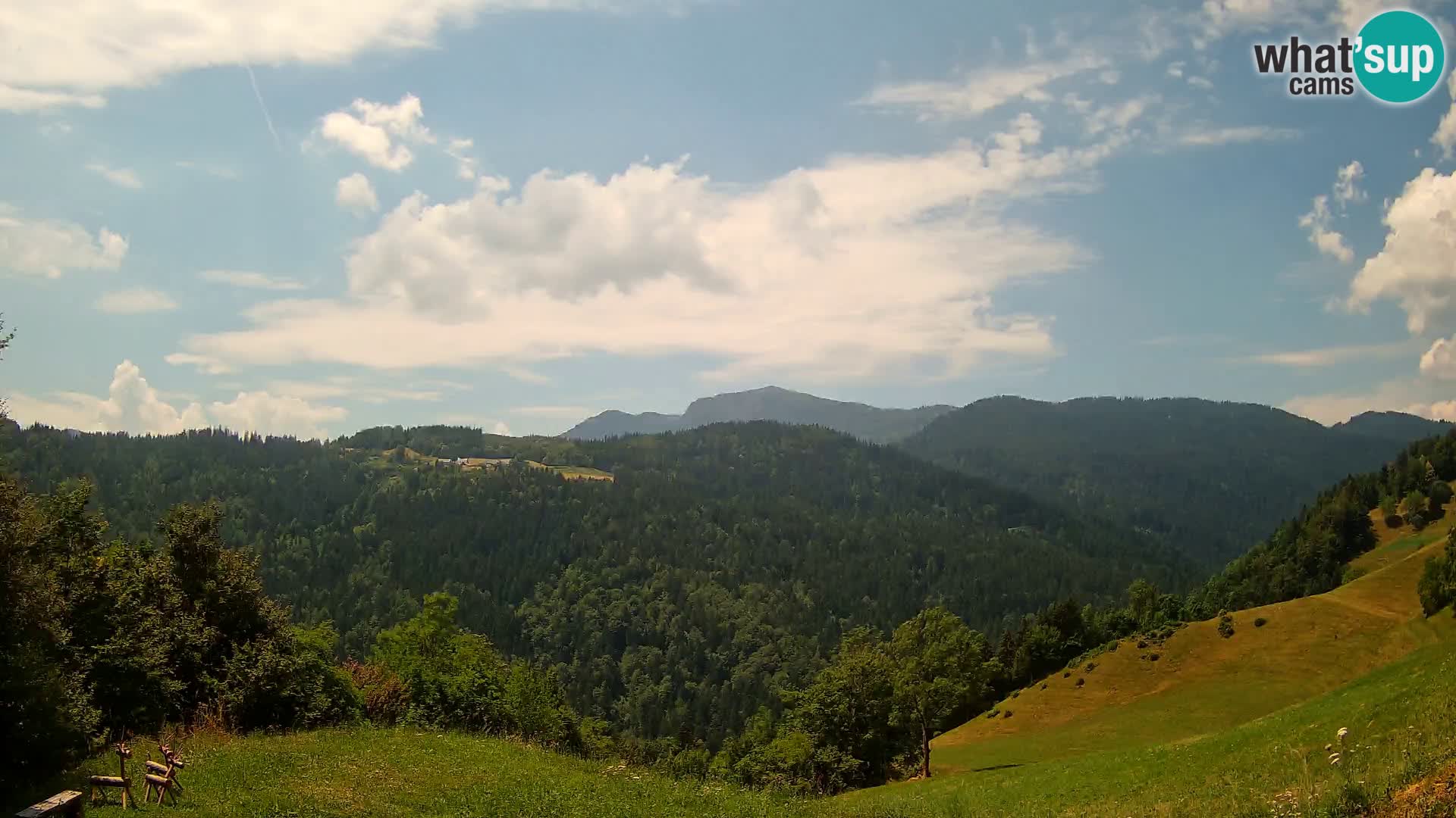 Webcam Brunarica Dražgoše – Live View of Ratitovec (1666 m)
