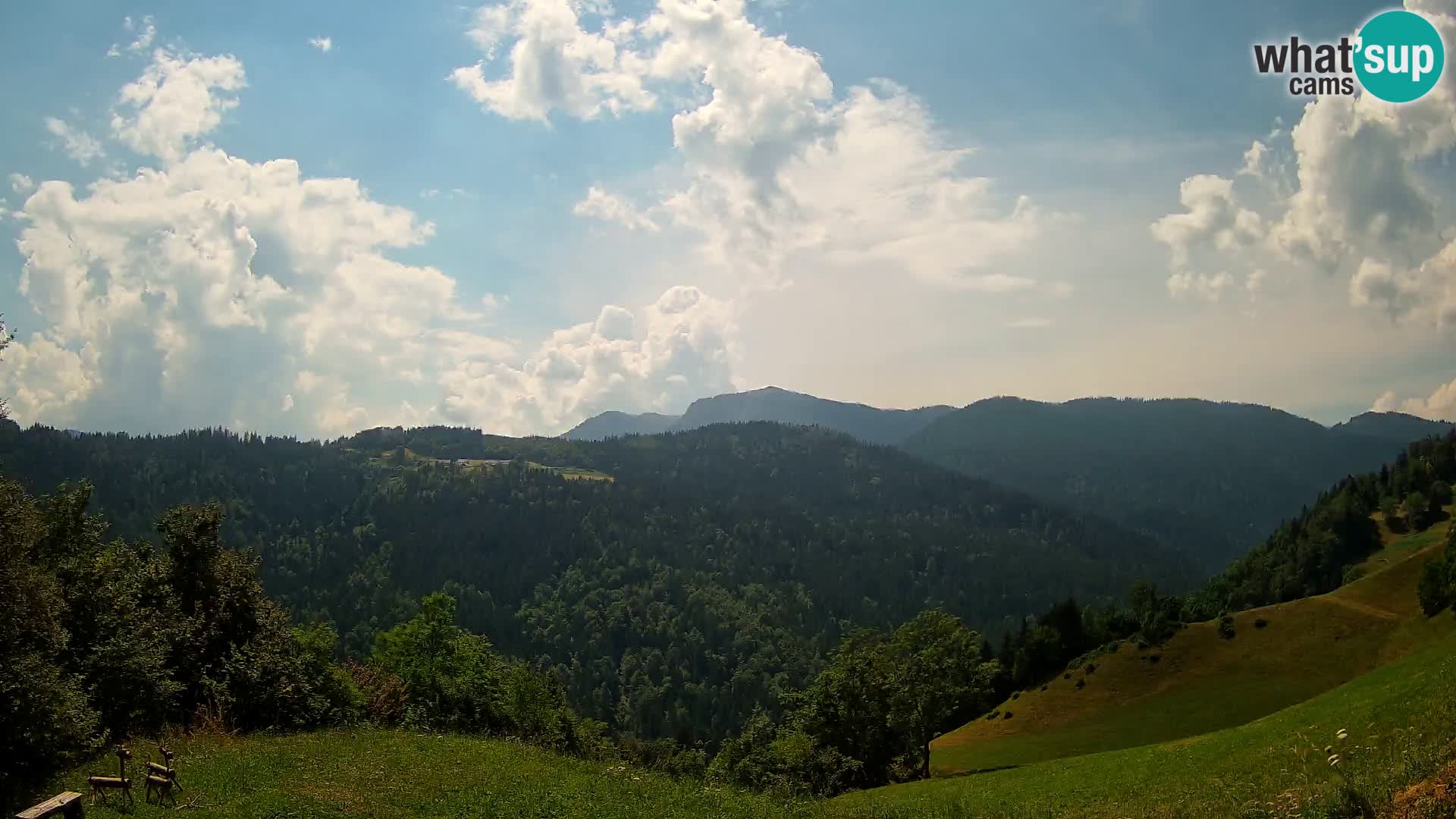 Webcam Brunarica Dražgoše – Live View of Ratitovec (1666 m)