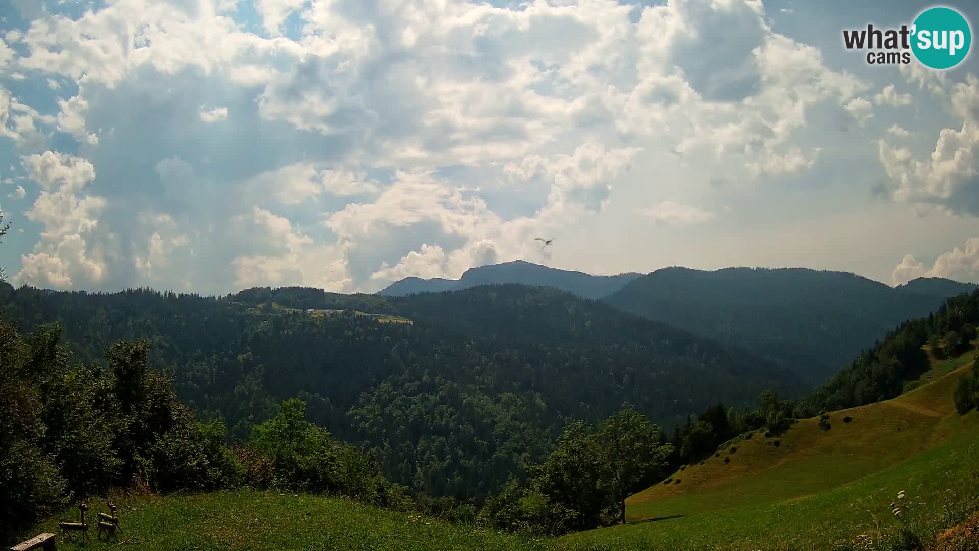 Webcam Brunarica Dražgoše – Liveblick auf Ratitovec (1666 m)