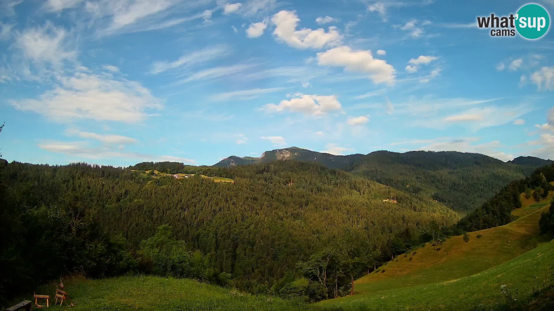 Webcam Brunarica Dražgoše – Live View of Ratitovec (1666 m)