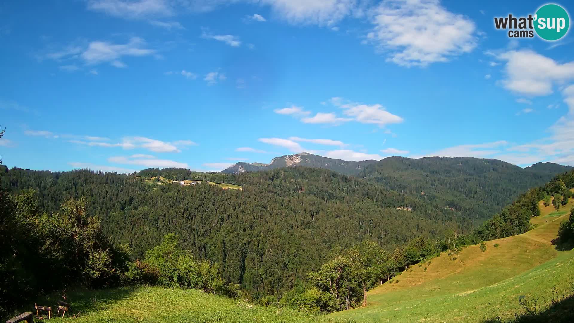 Webcam Brunarica Dražgoše – Live View of Ratitovec (1666 m)