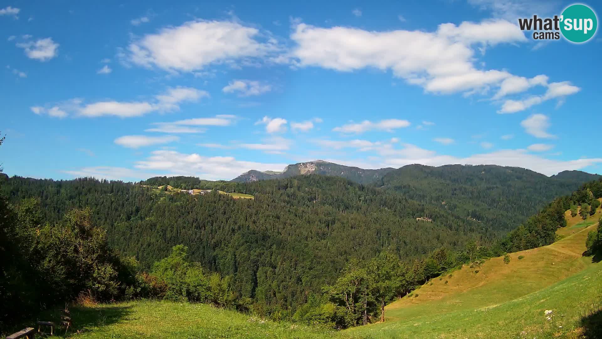 Webcam Brunarica Dražgoše – Live View of Ratitovec (1666 m)