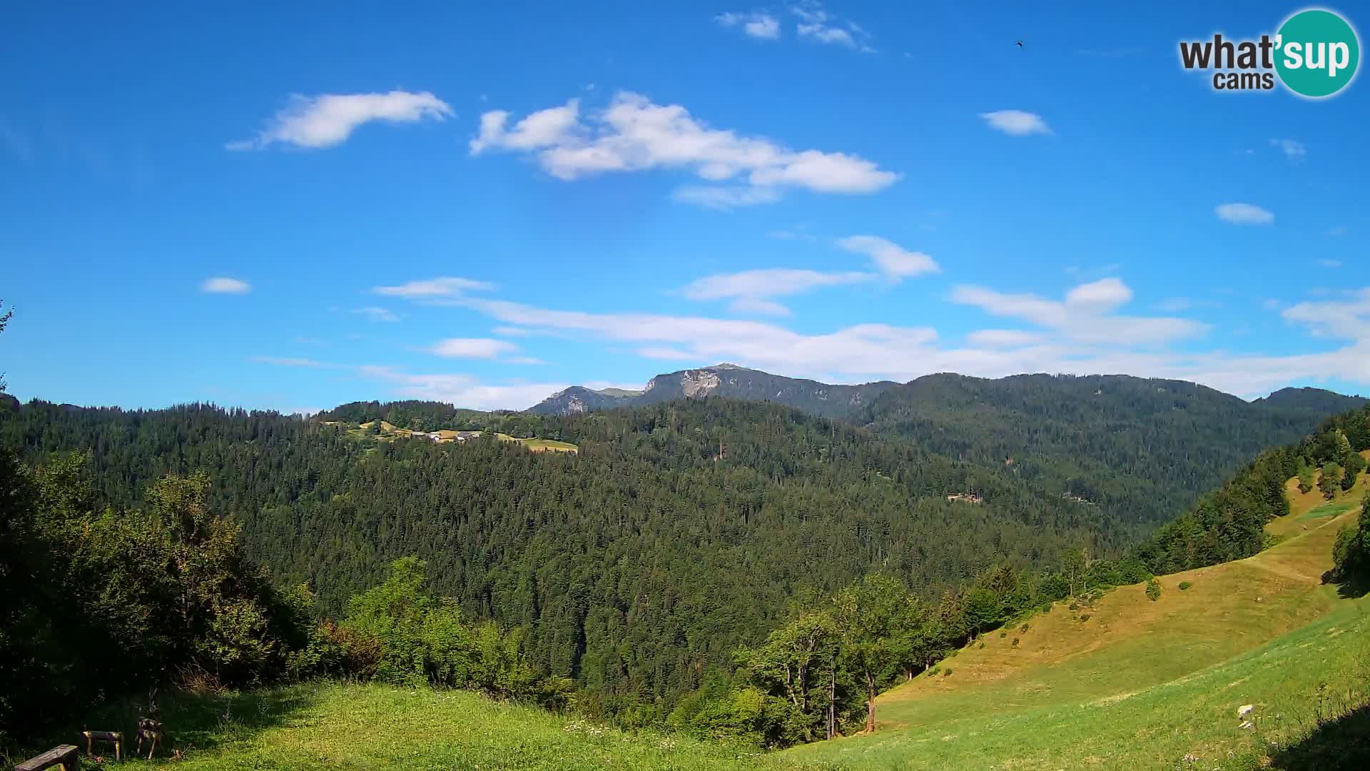 Webcam Brunarica Dražgoše – Live View of Ratitovec (1666 m)