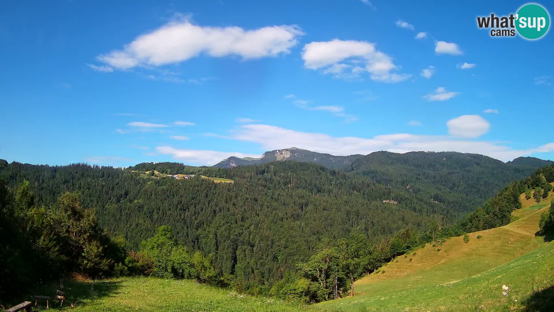 Webcam Brunarica Dražgoše – Live View of Ratitovec (1666 m)
