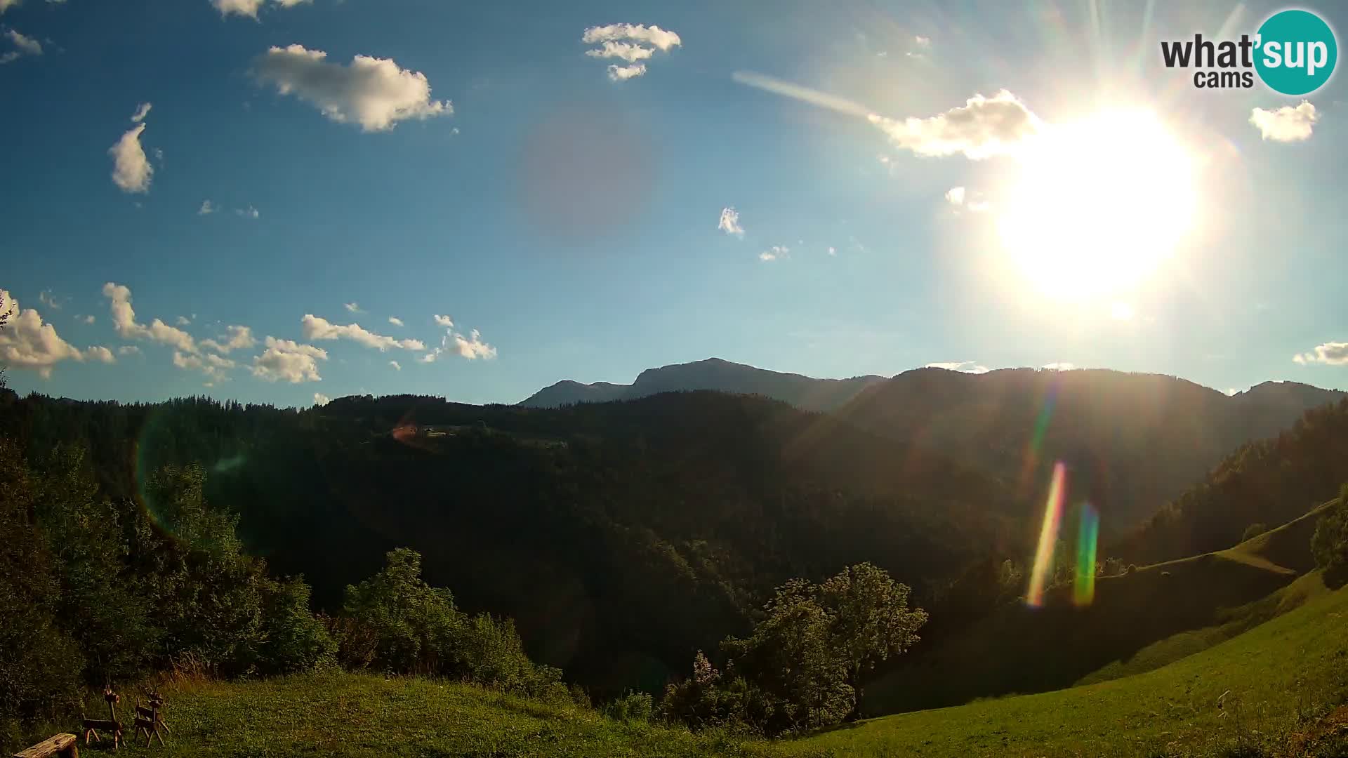 Webcam Brunarica Dražgoše – Live View of Ratitovec (1666 m)