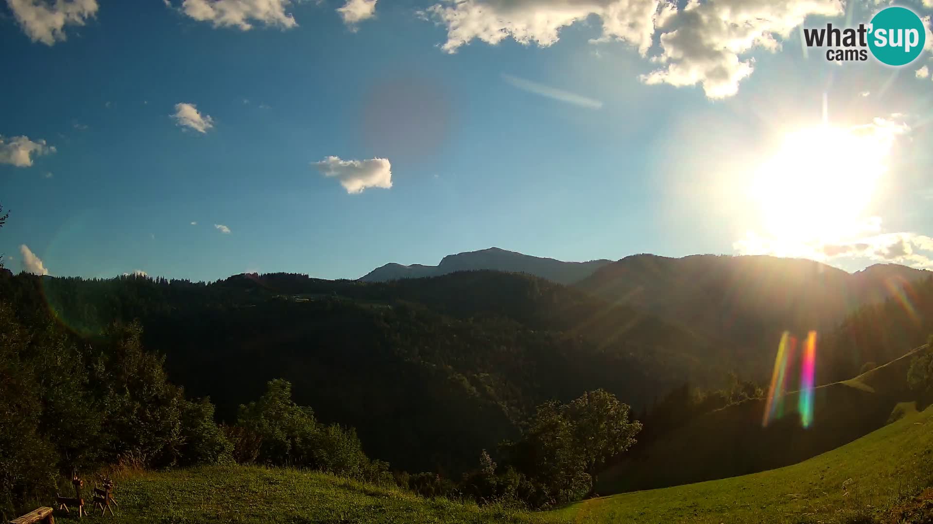 Spletna kamera Brunarica Dražgoše – Pogled v živo na Ratitovec (1666 m)