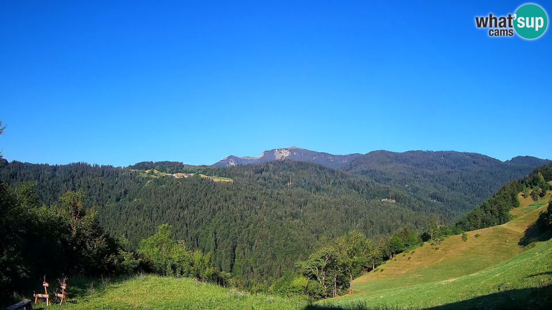 Webcam Brunarica Dražgoše – Live View of Ratitovec (1666 m)