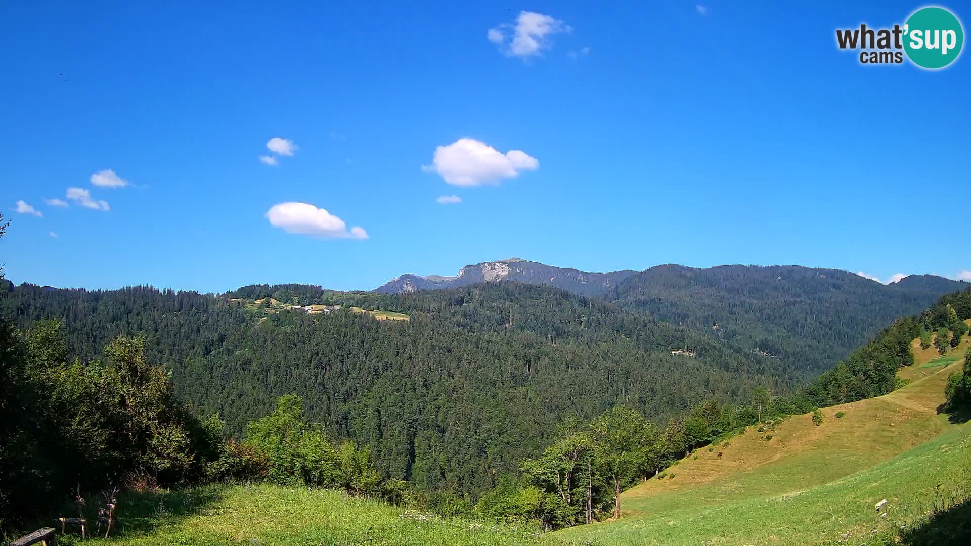 Webcam Brunarica Dražgoše – Vista live sul Ratitovec (1666 m)