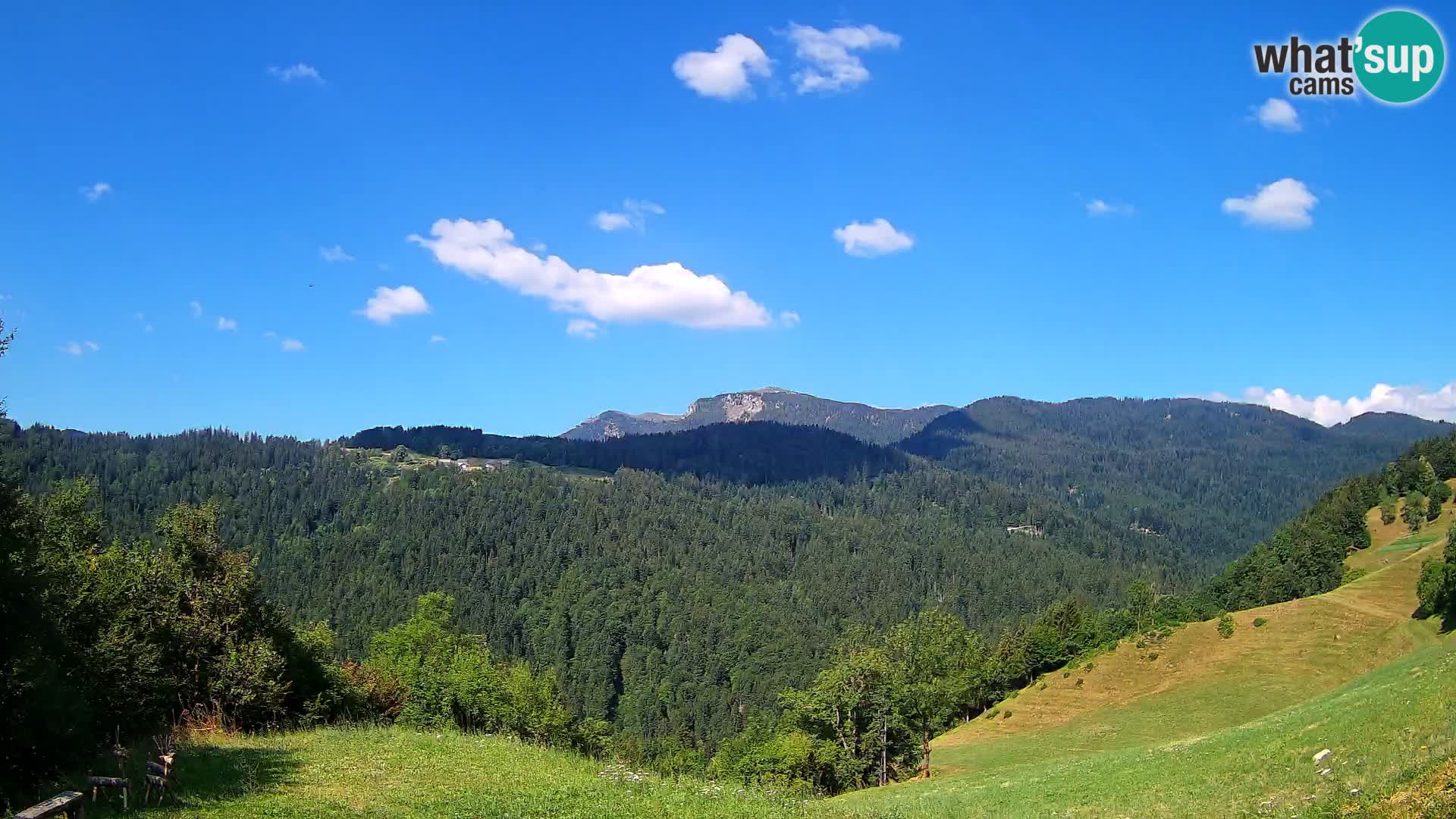 Webcam Brunarica Dražgoše – Live View of Ratitovec (1666 m)