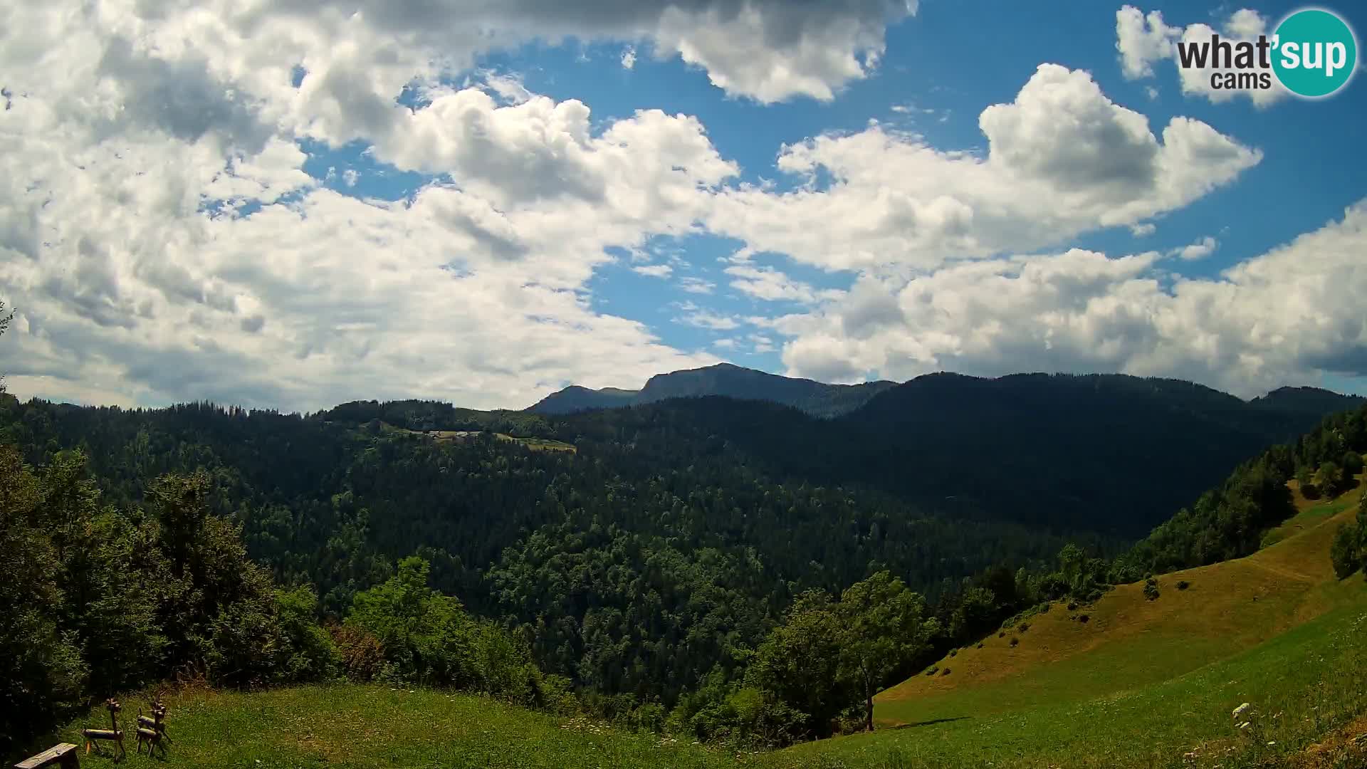 Webcam Brunarica Dražgoše – Live View of Ratitovec (1666 m)