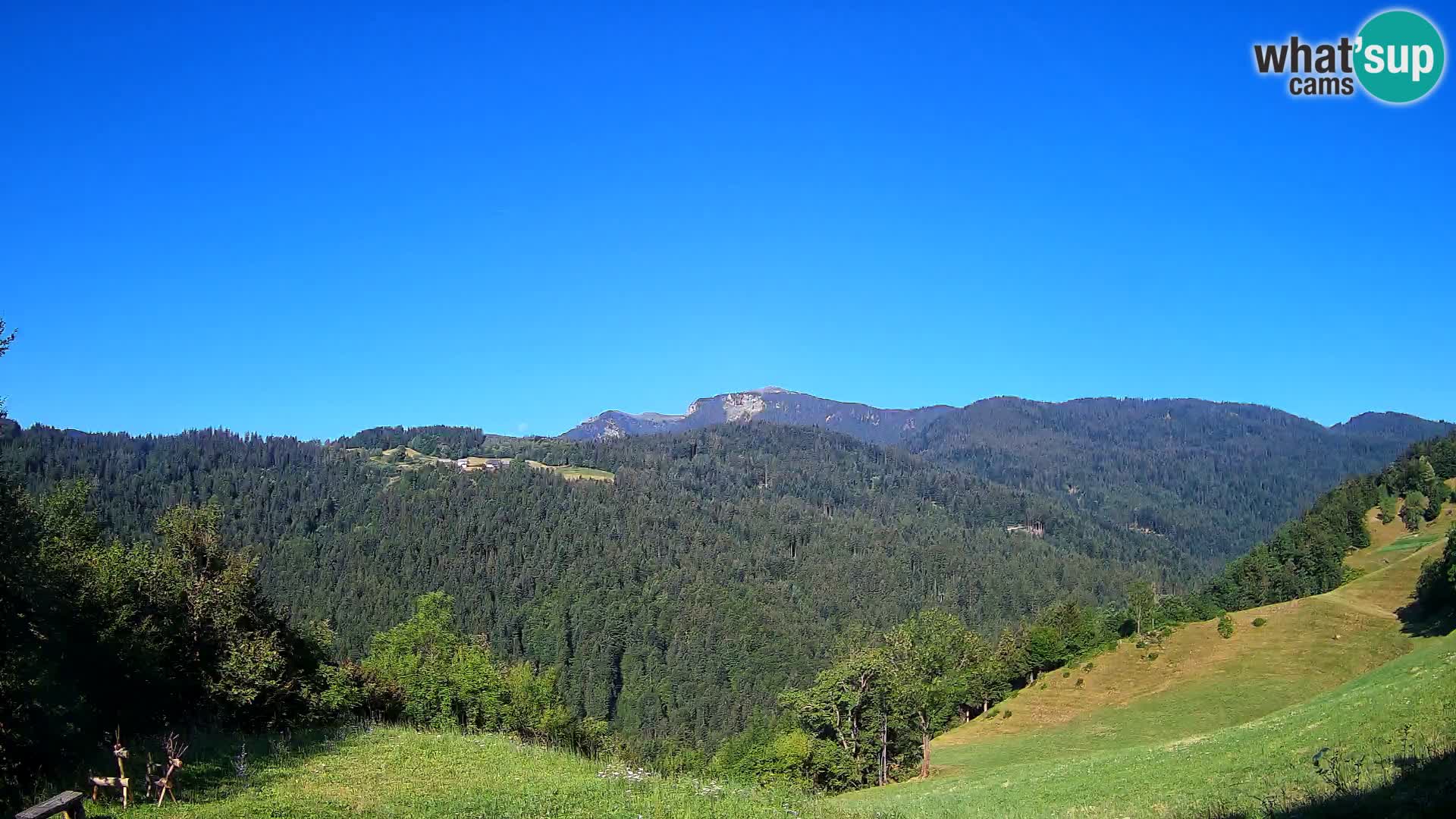 Webcam Brunarica Dražgoše – Liveblick auf Ratitovec (1666 m)