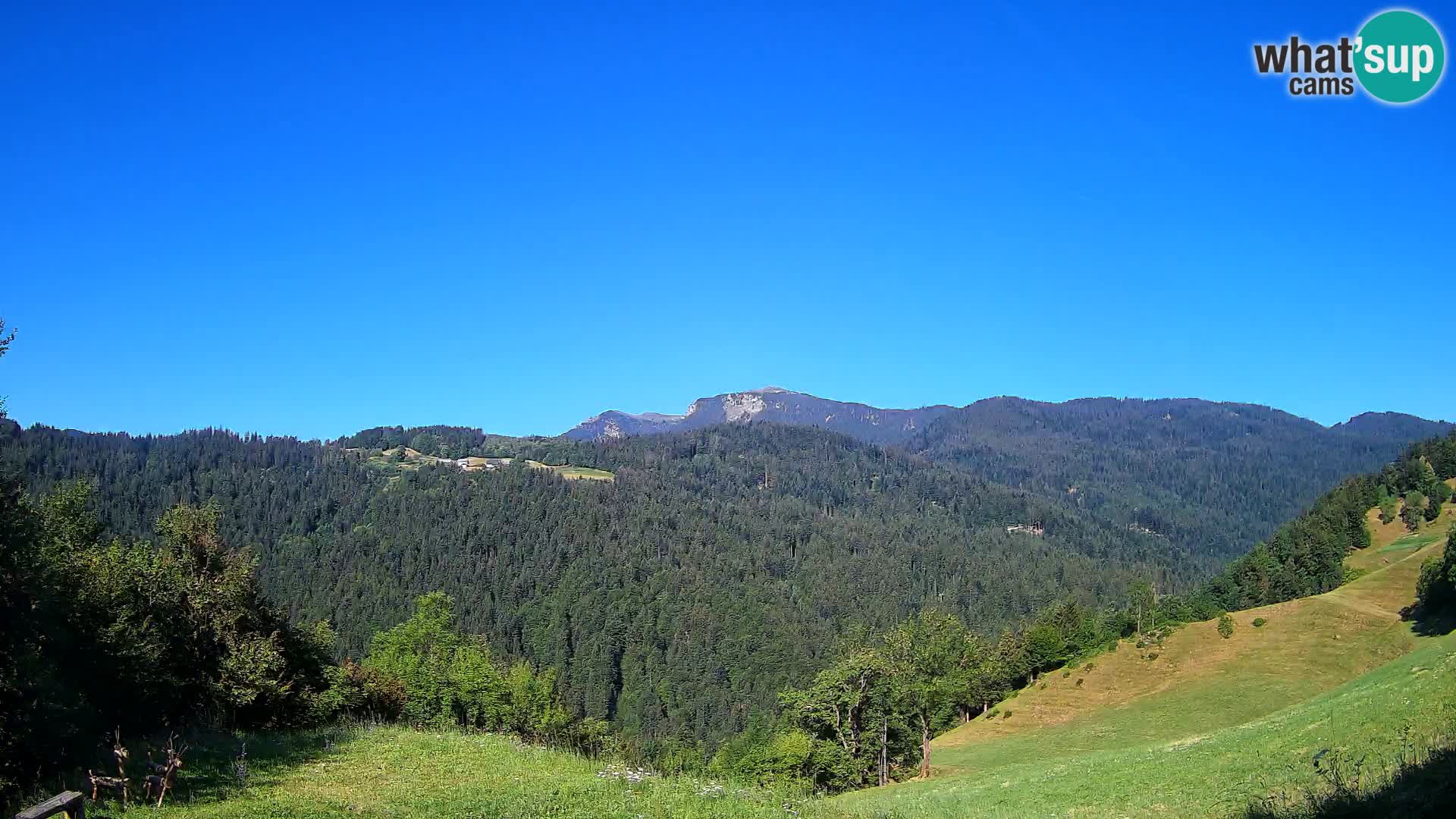 Webcam Brunarica Dražgoše – Live View of Ratitovec (1666 m)