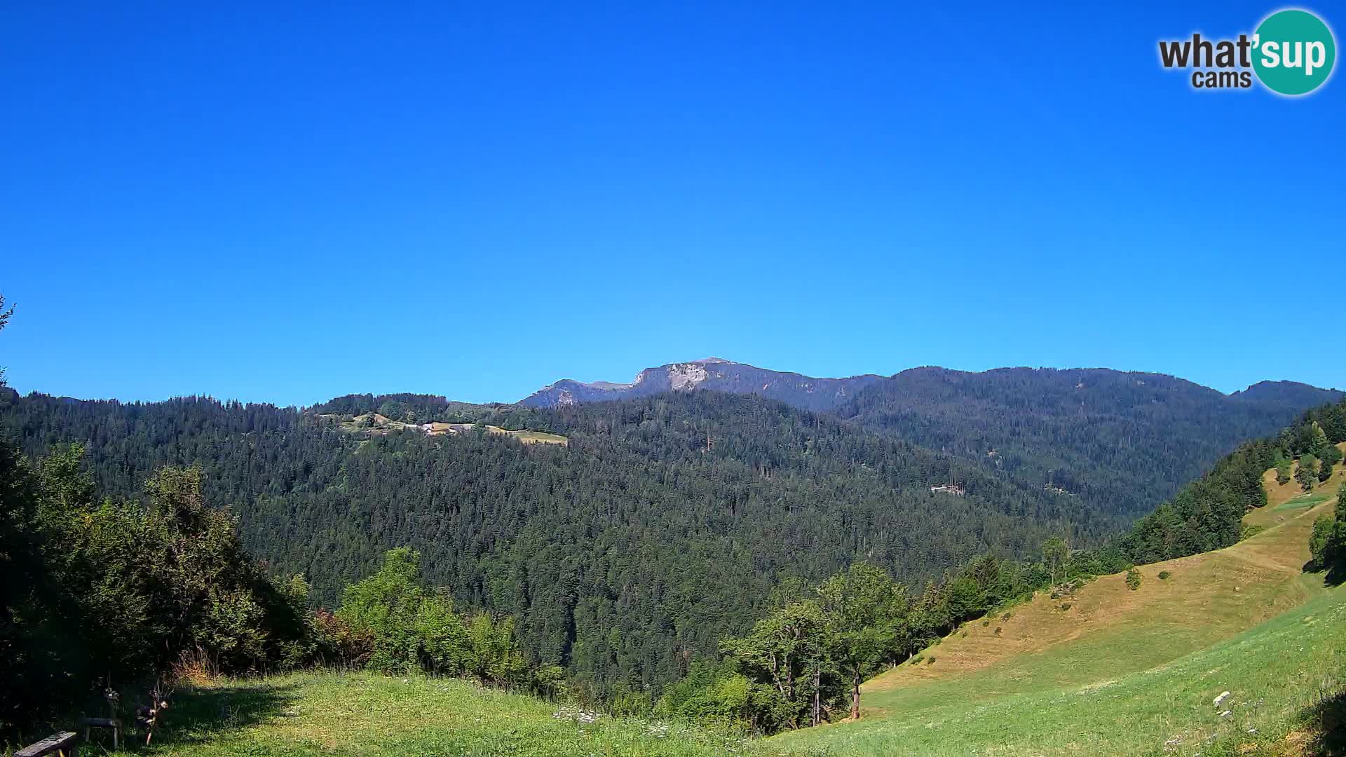 Webcam Brunarica Dražgoše – Live View of Ratitovec (1666 m)