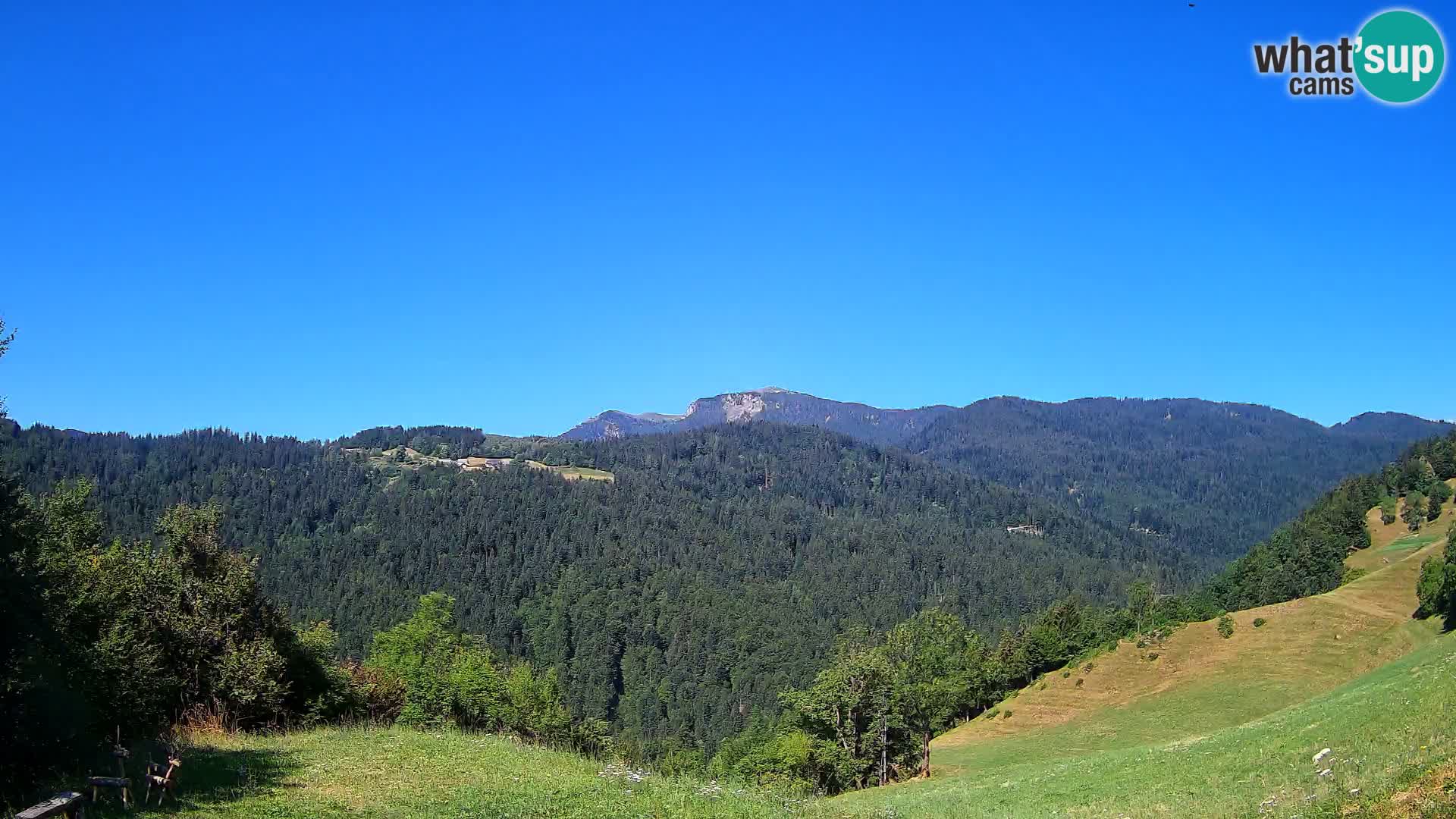 Webcam Brunarica Dražgoše – Live View of Ratitovec (1666 m)