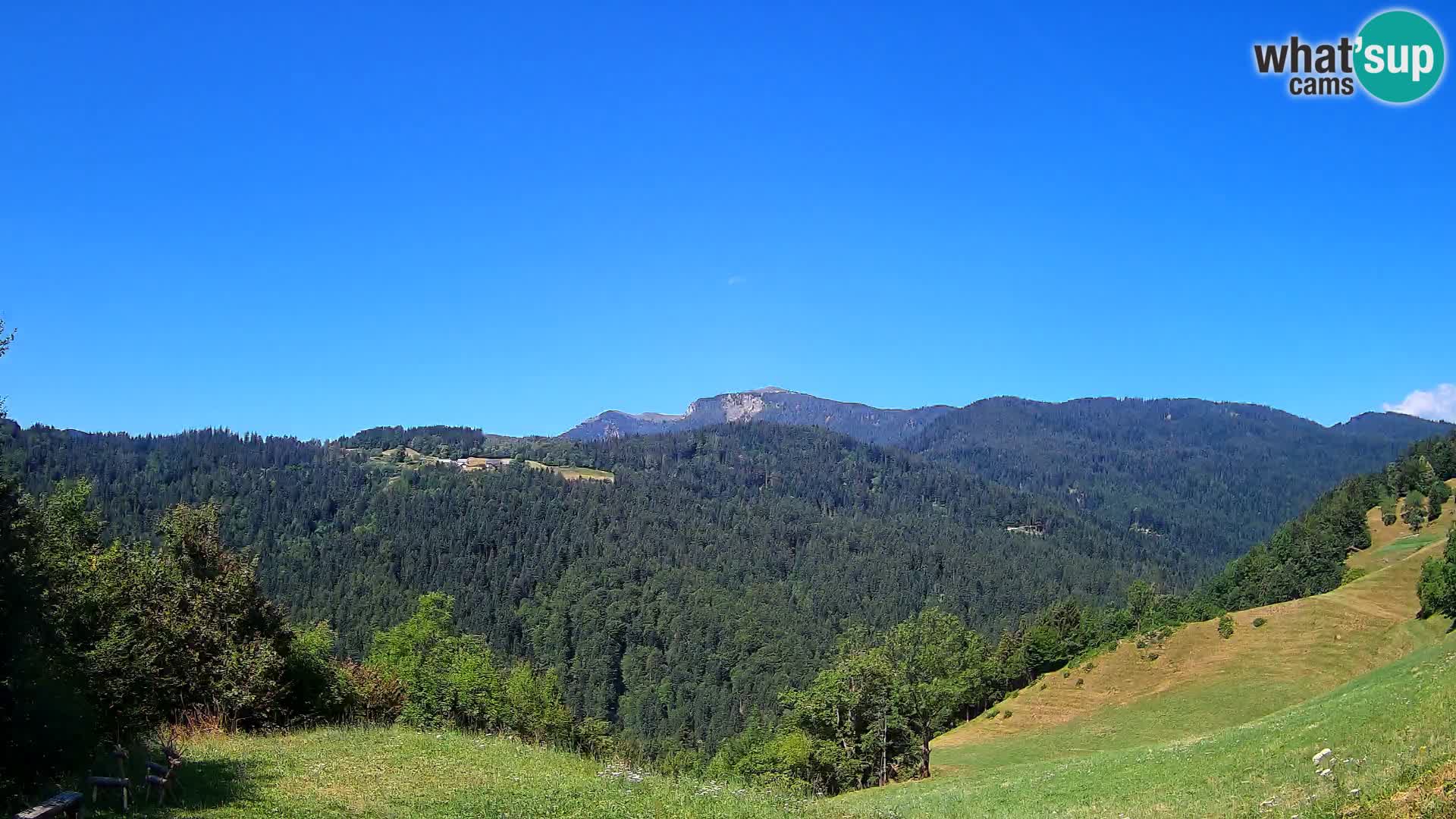 Webcam Brunarica Dražgoše – Live View of Ratitovec (1666 m)