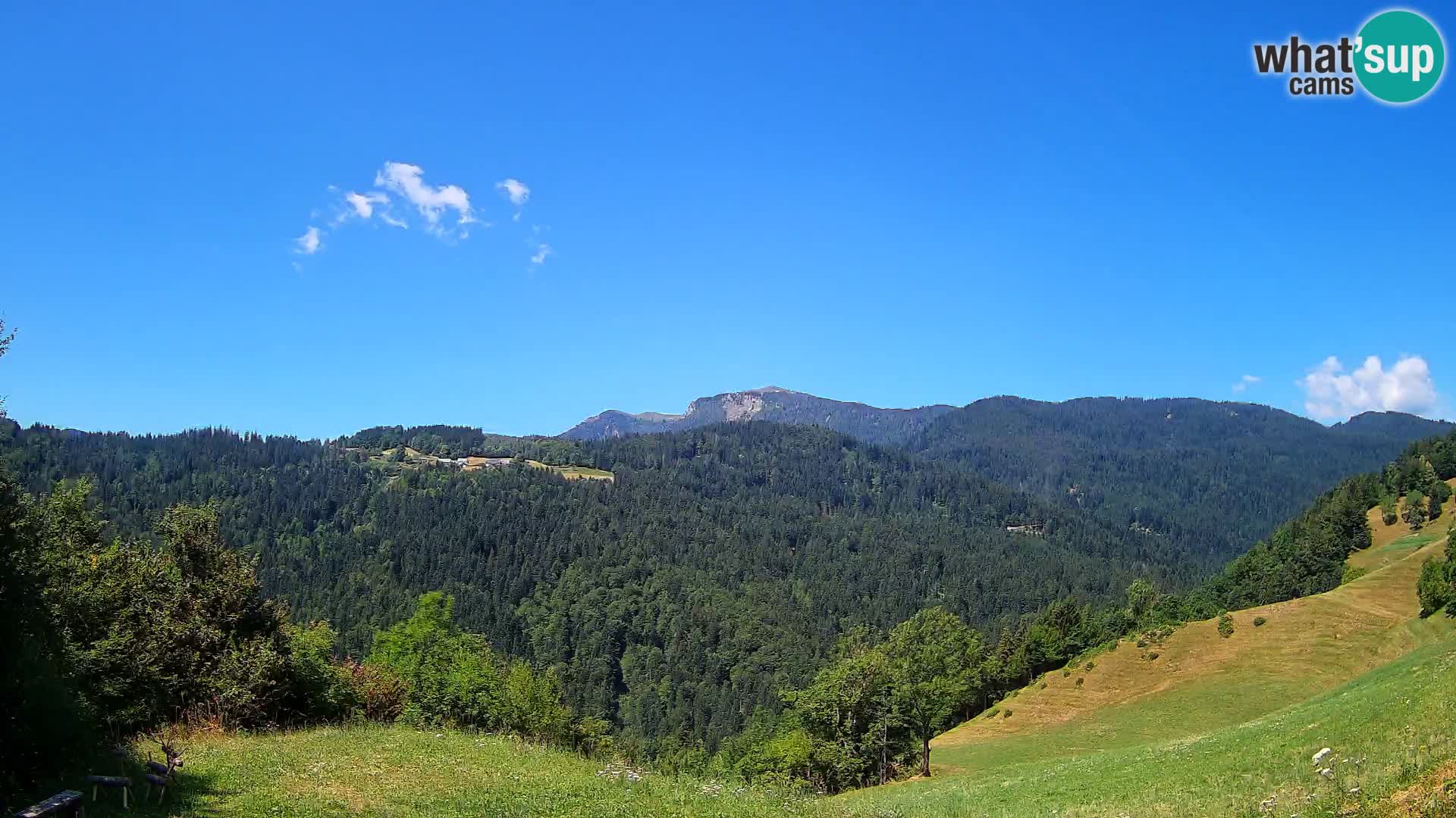 Webcam Brunarica Dražgoše – Live View of Ratitovec (1666 m)
