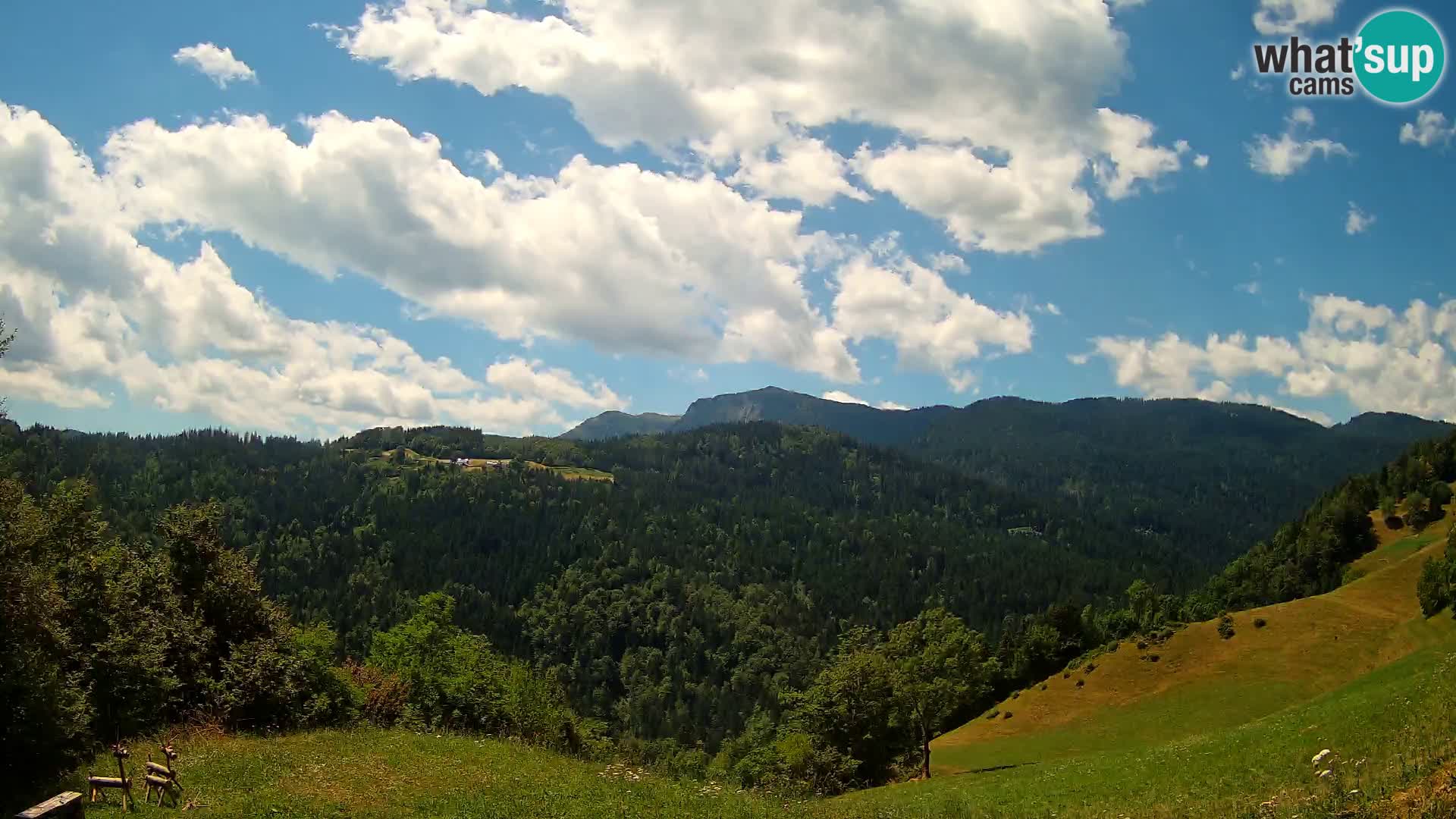 Webcam Brunarica Dražgoše – Live View of Ratitovec (1666 m)